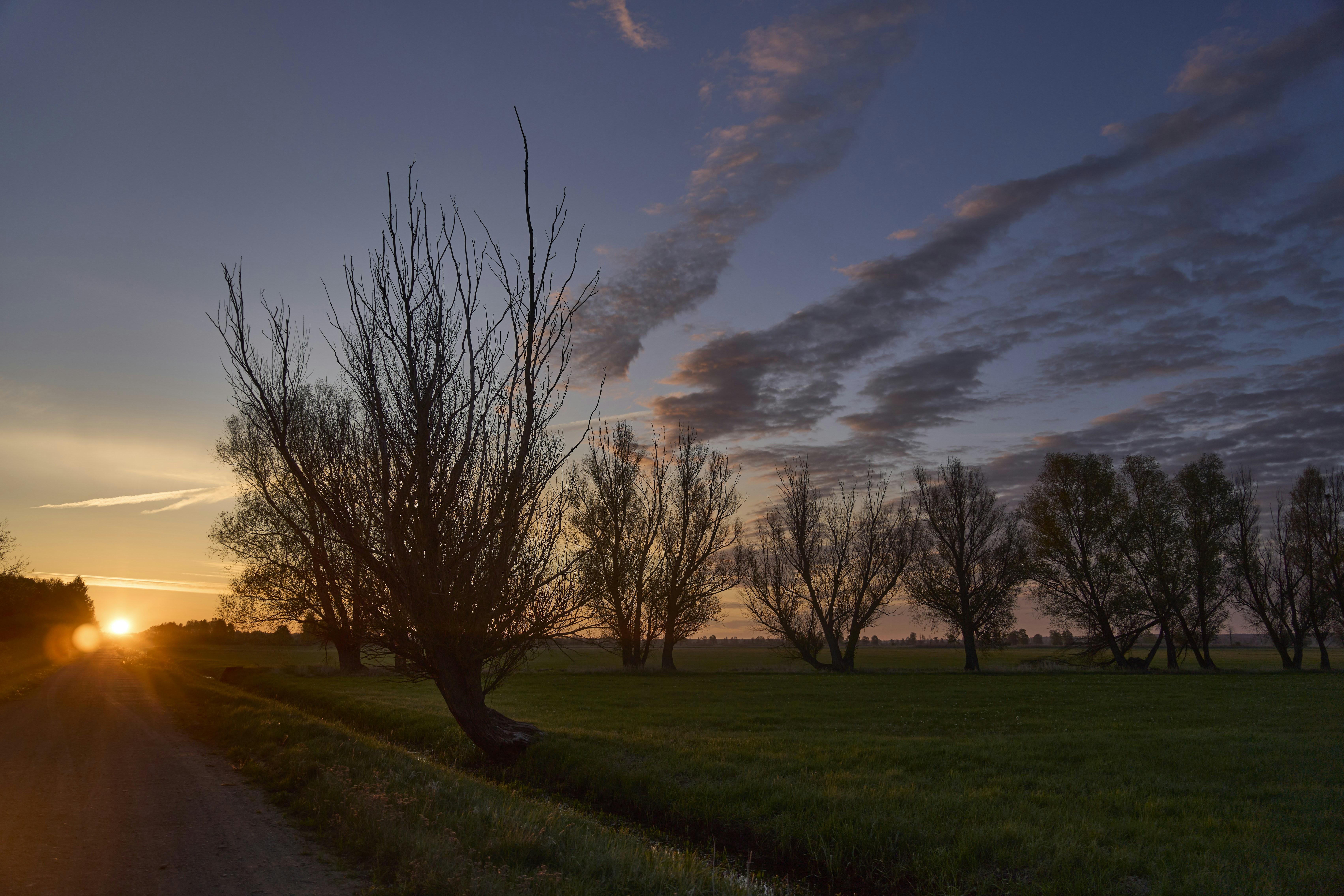 Photo by wolfgang_hasselmann