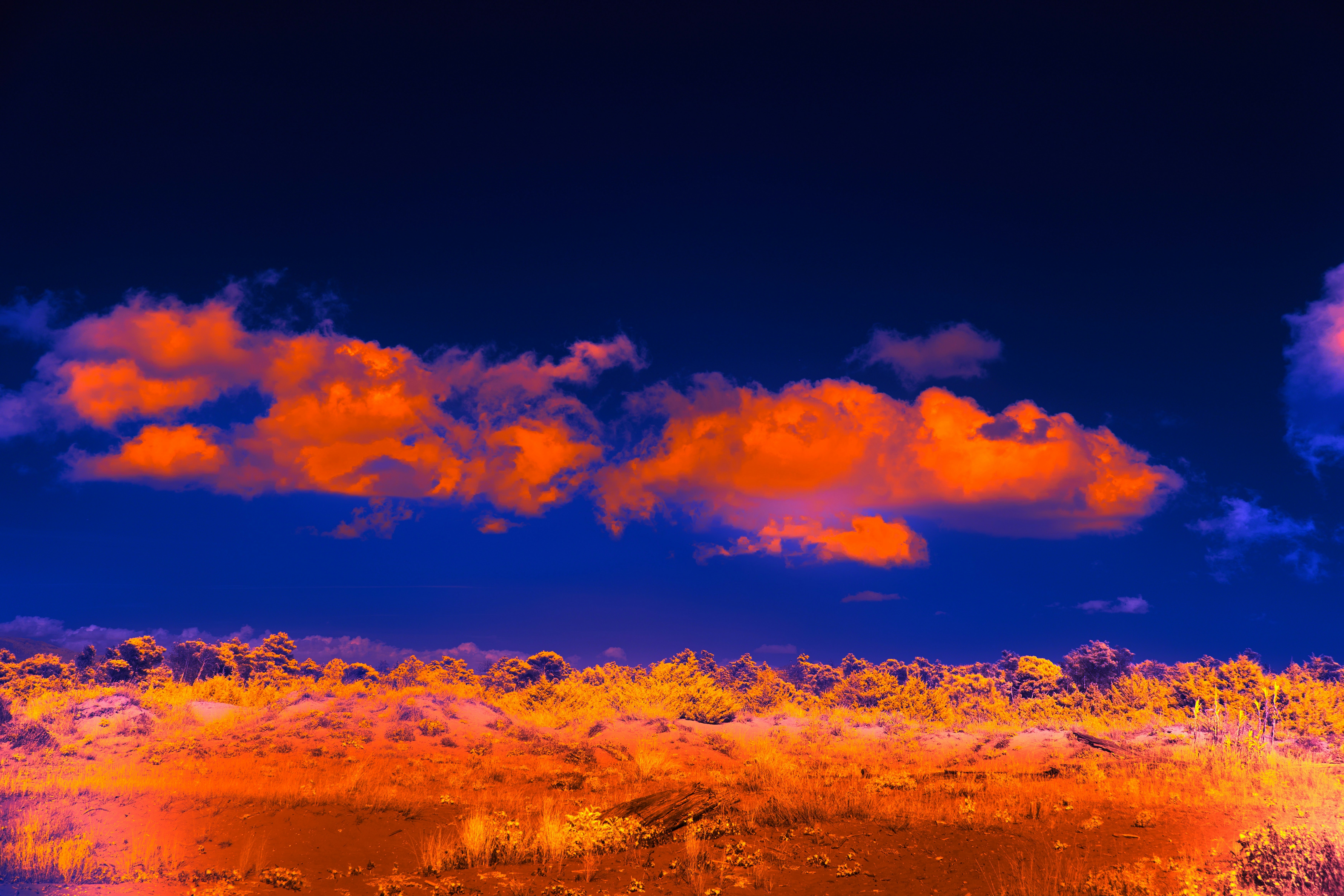 Photo by wolfgang_hasselmann