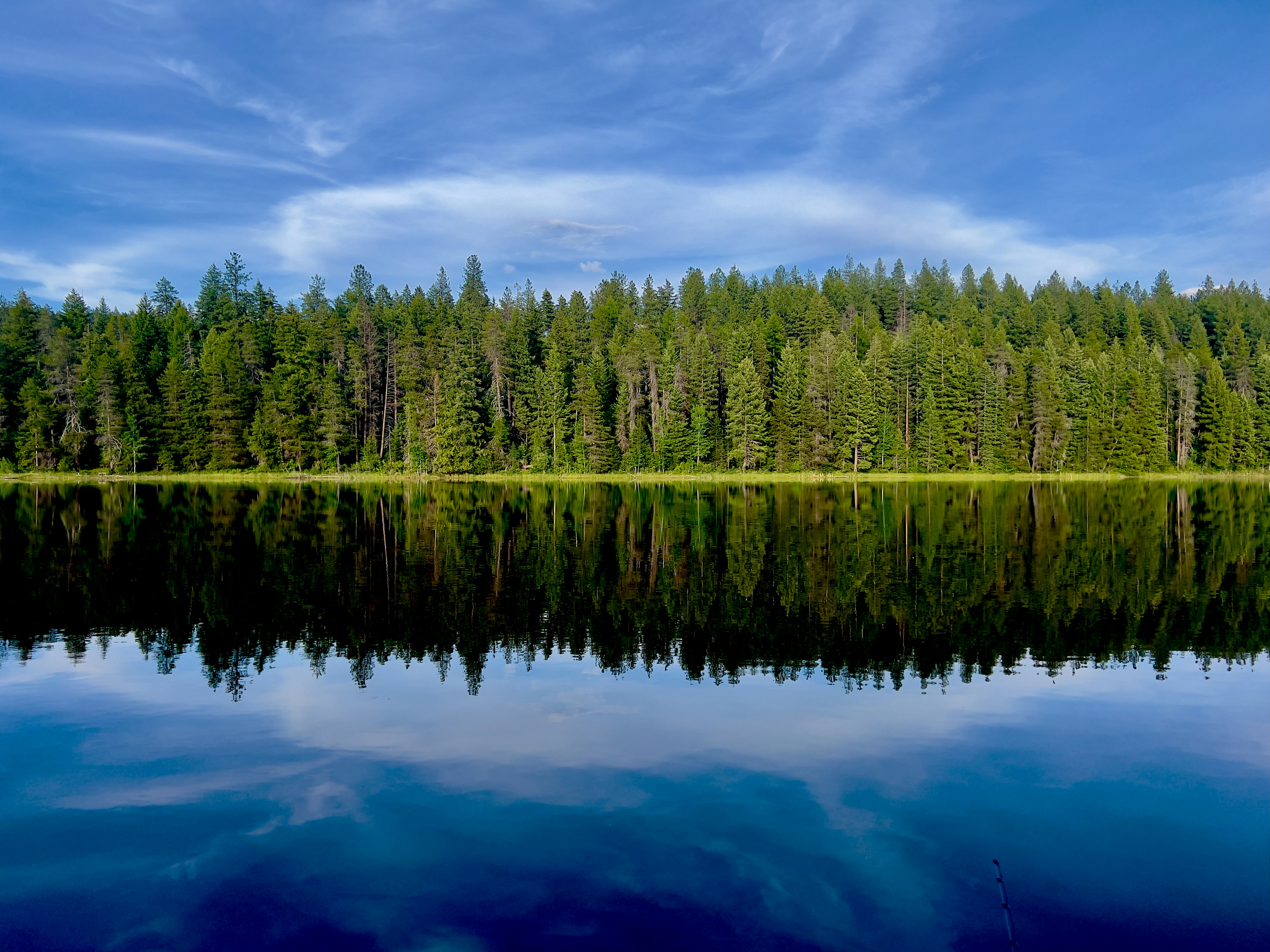 Photo by city2forest