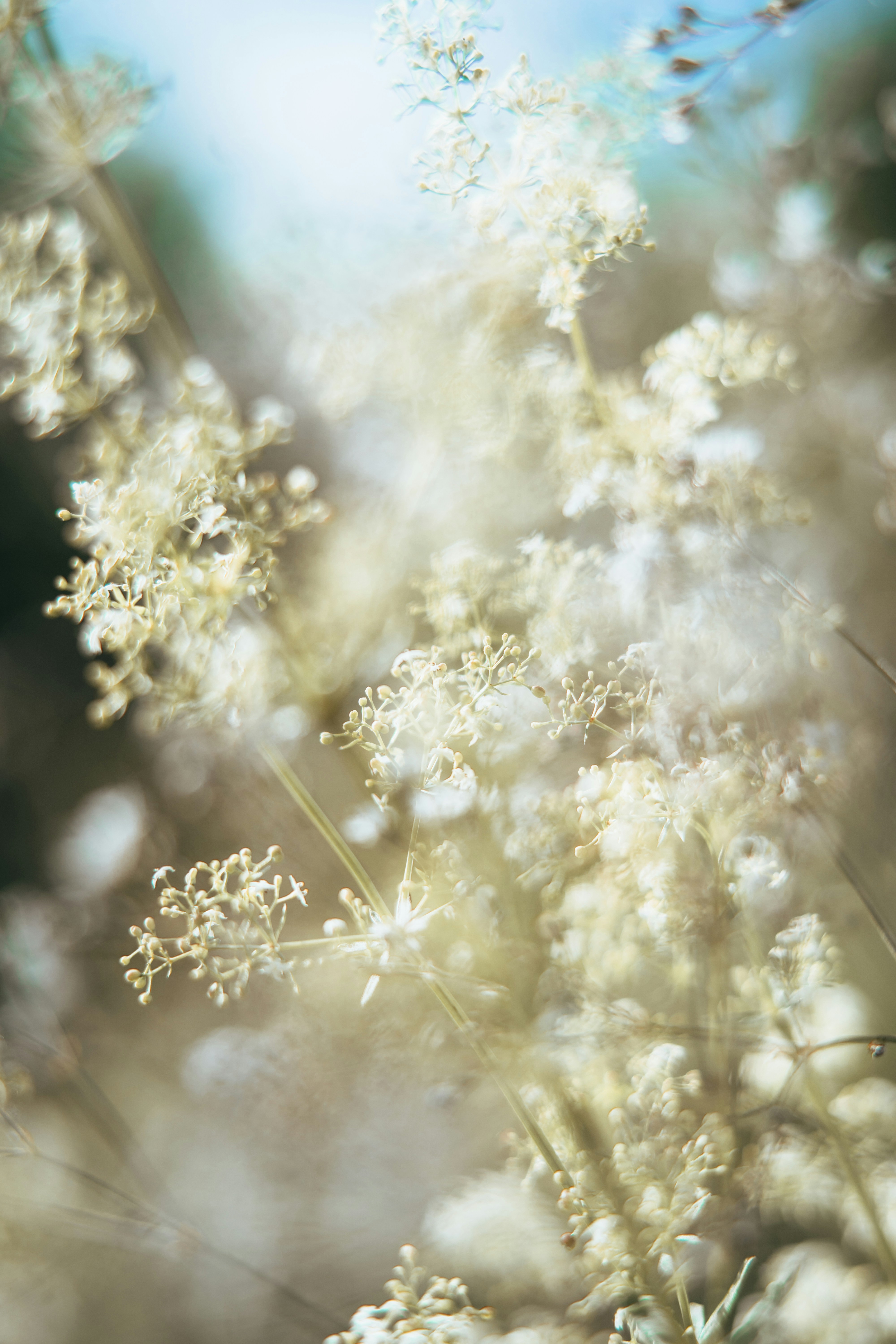 Photo by anamnesis33