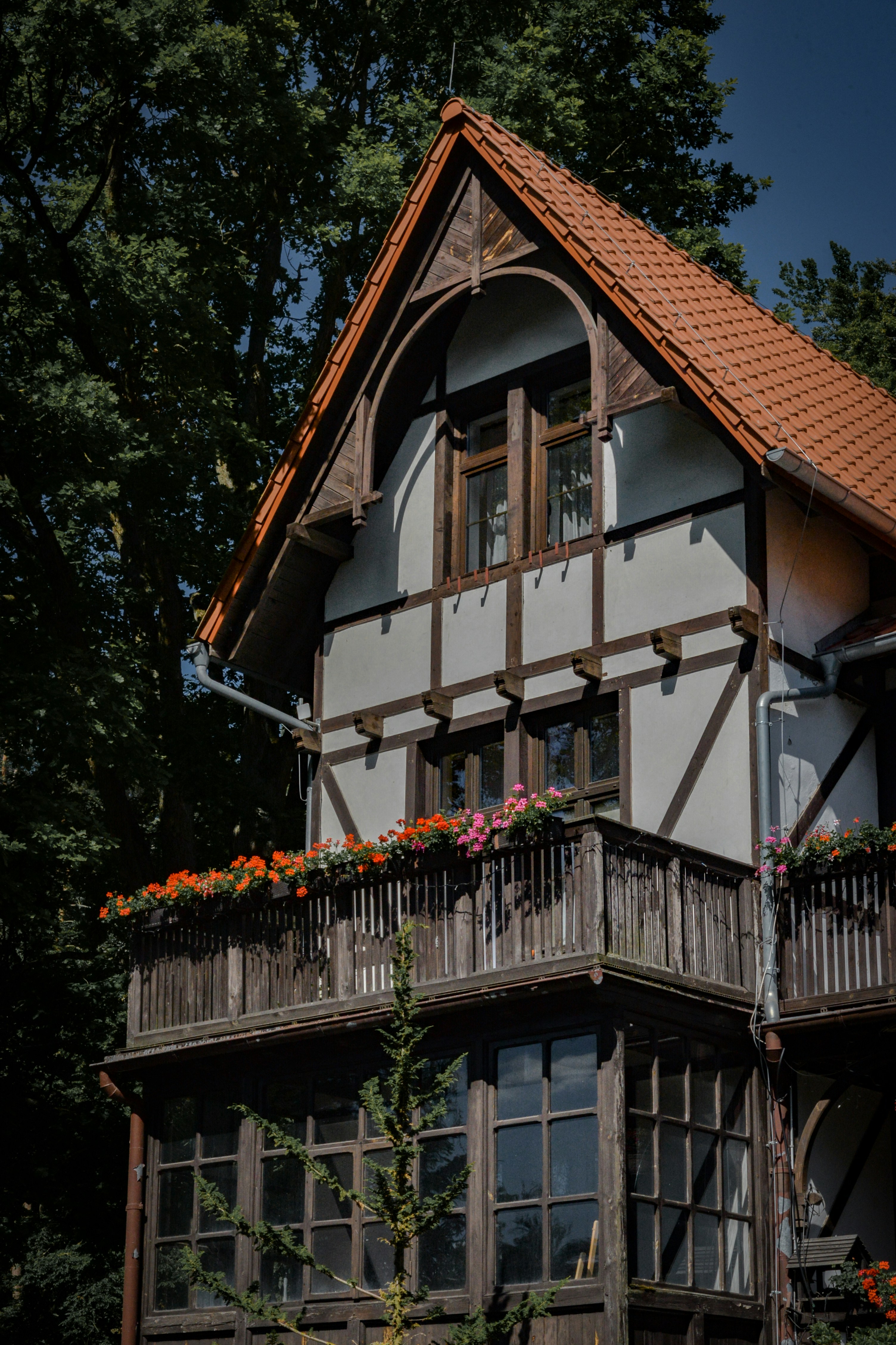 Photo by malwinanogaj