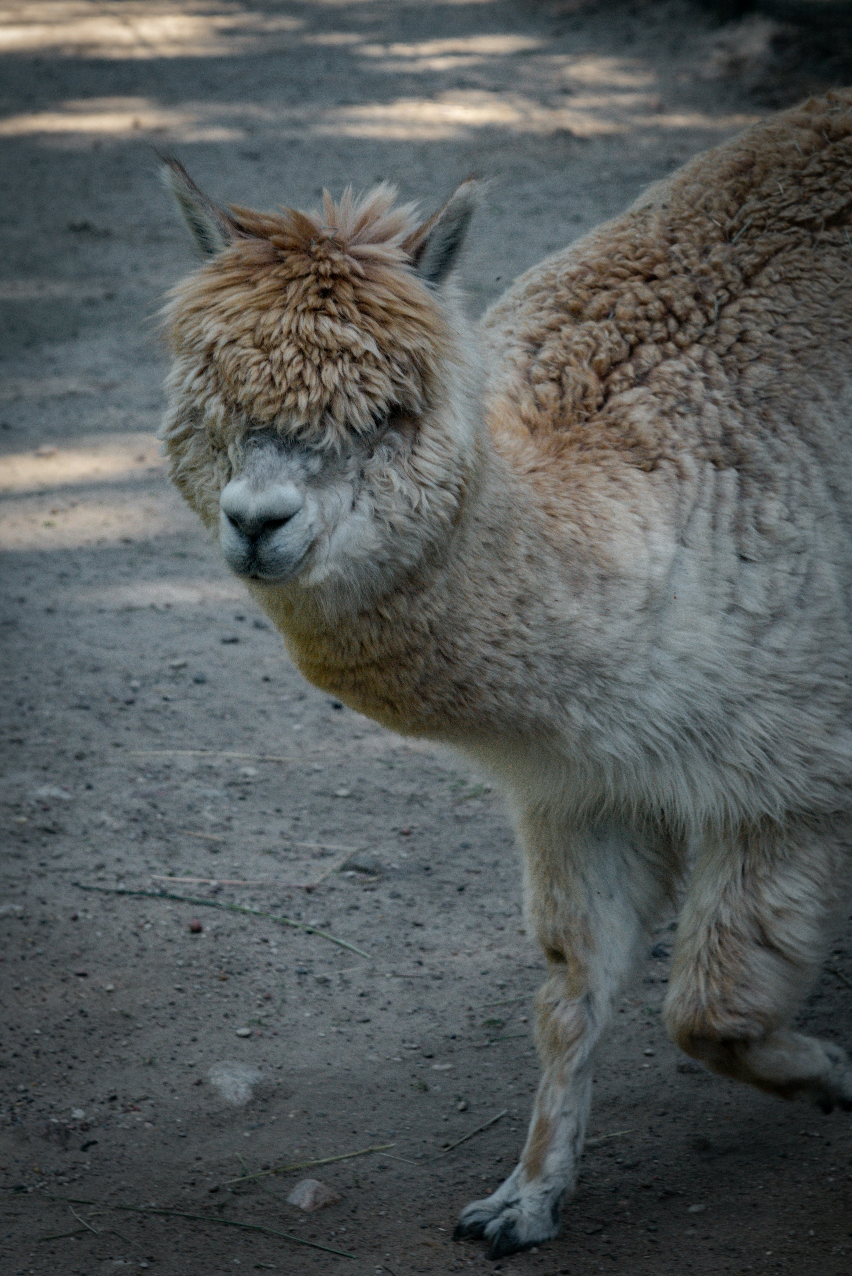 Photo by malwinanogaj