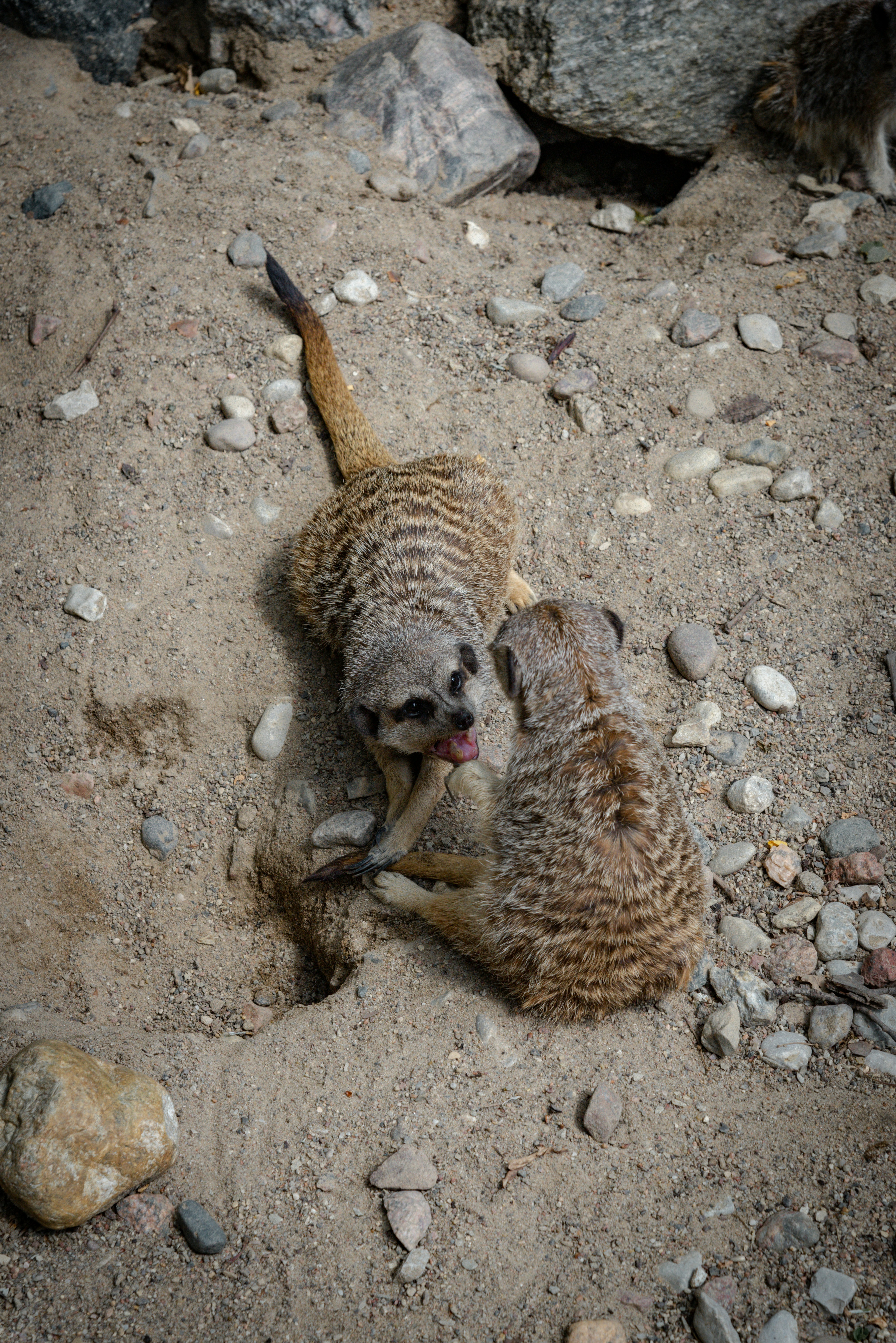 Photo by malwinanogaj