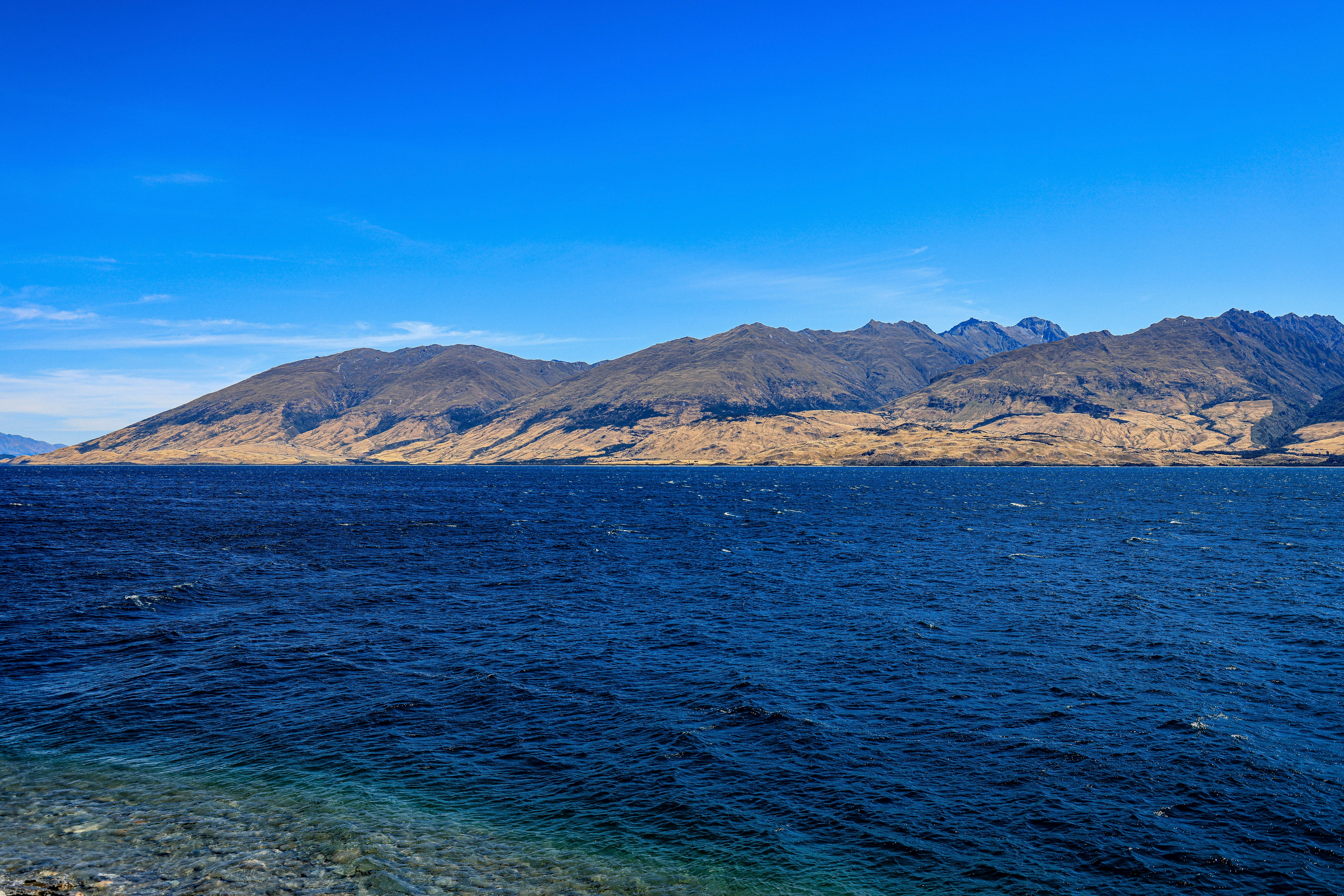 Photo by maximilian_brand