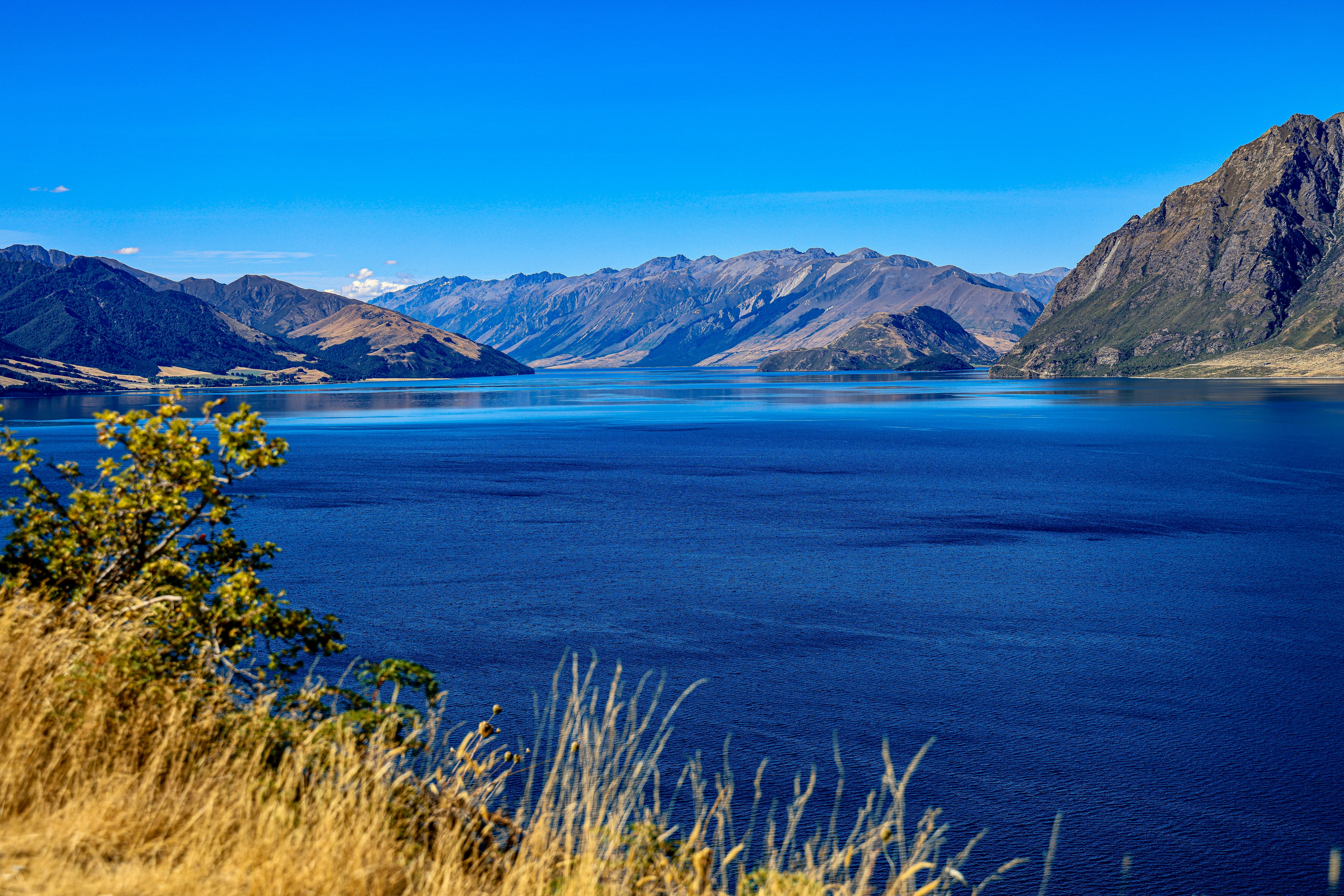 Photo by maximilian_brand