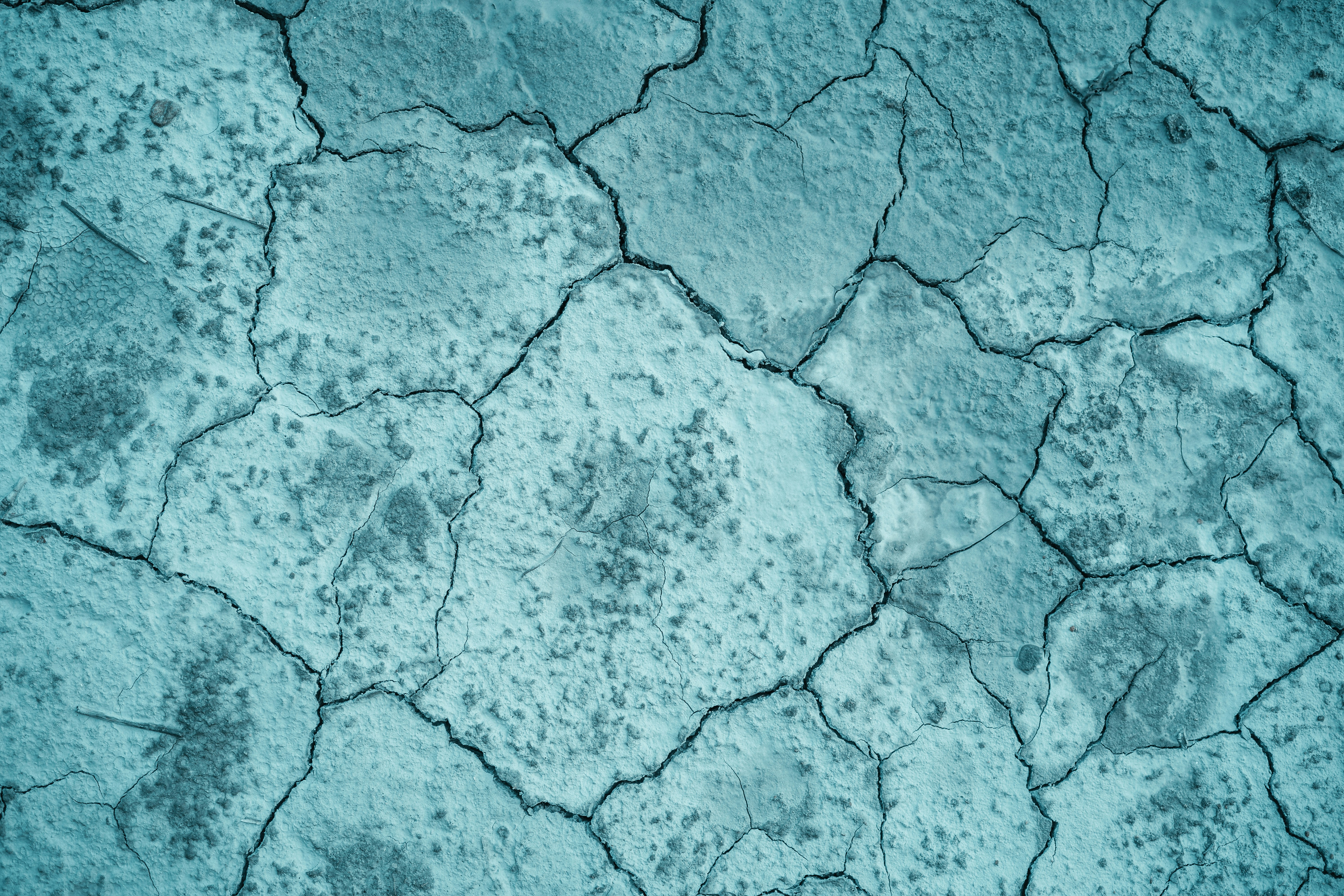 Photo by anamnesis33