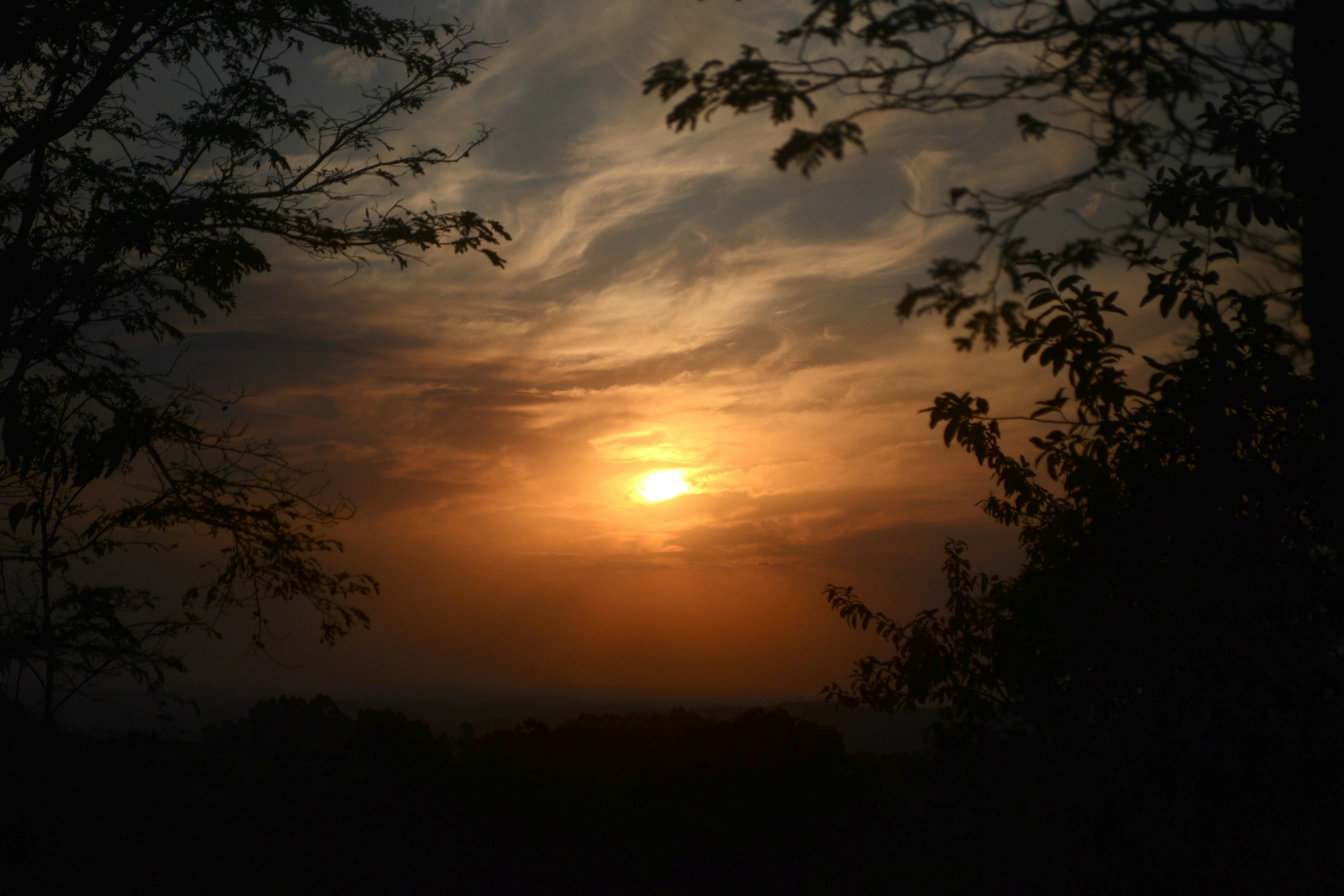 Sunset peeks through the trees and clouds.