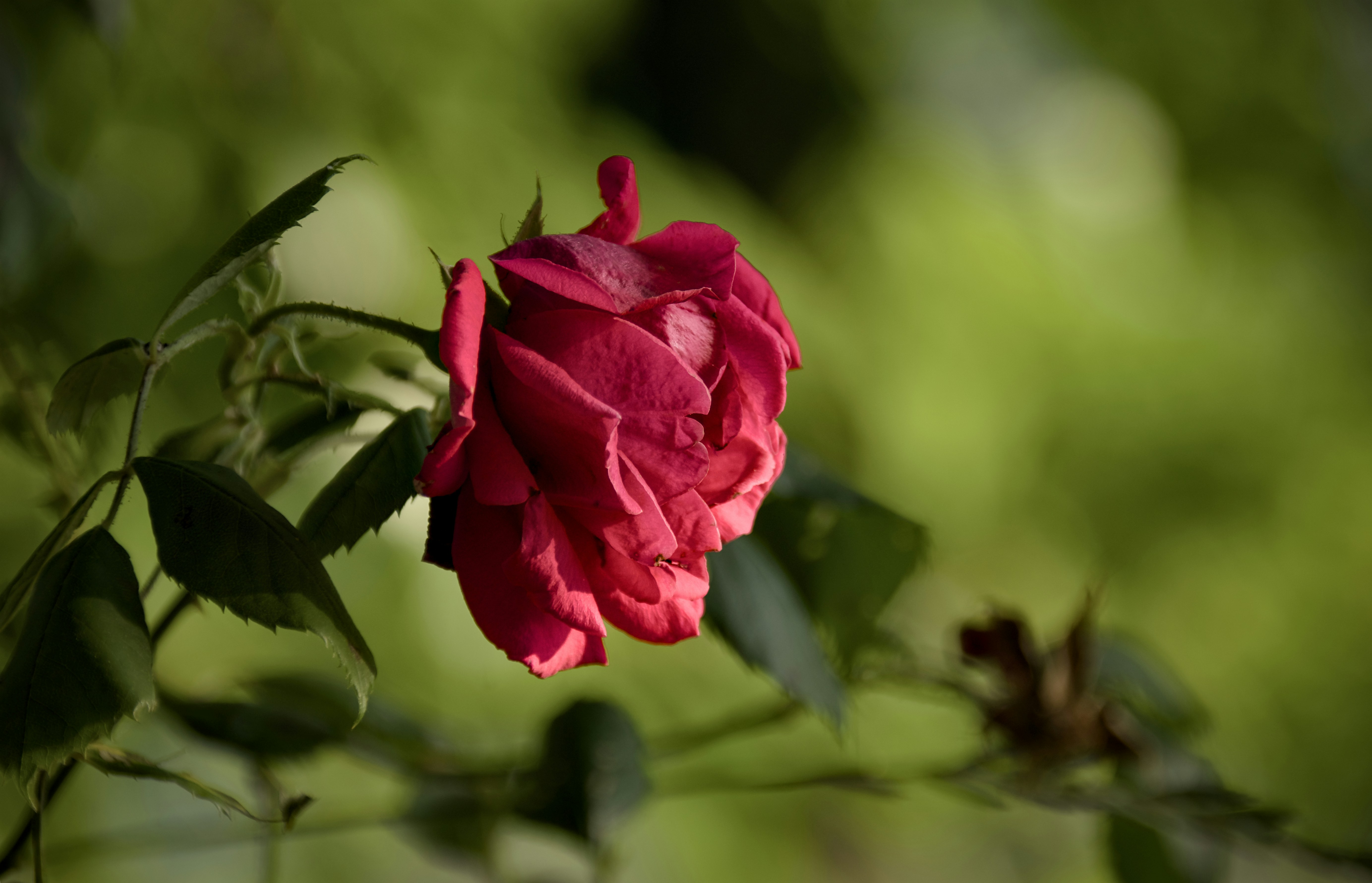 Photo by mariobeducci