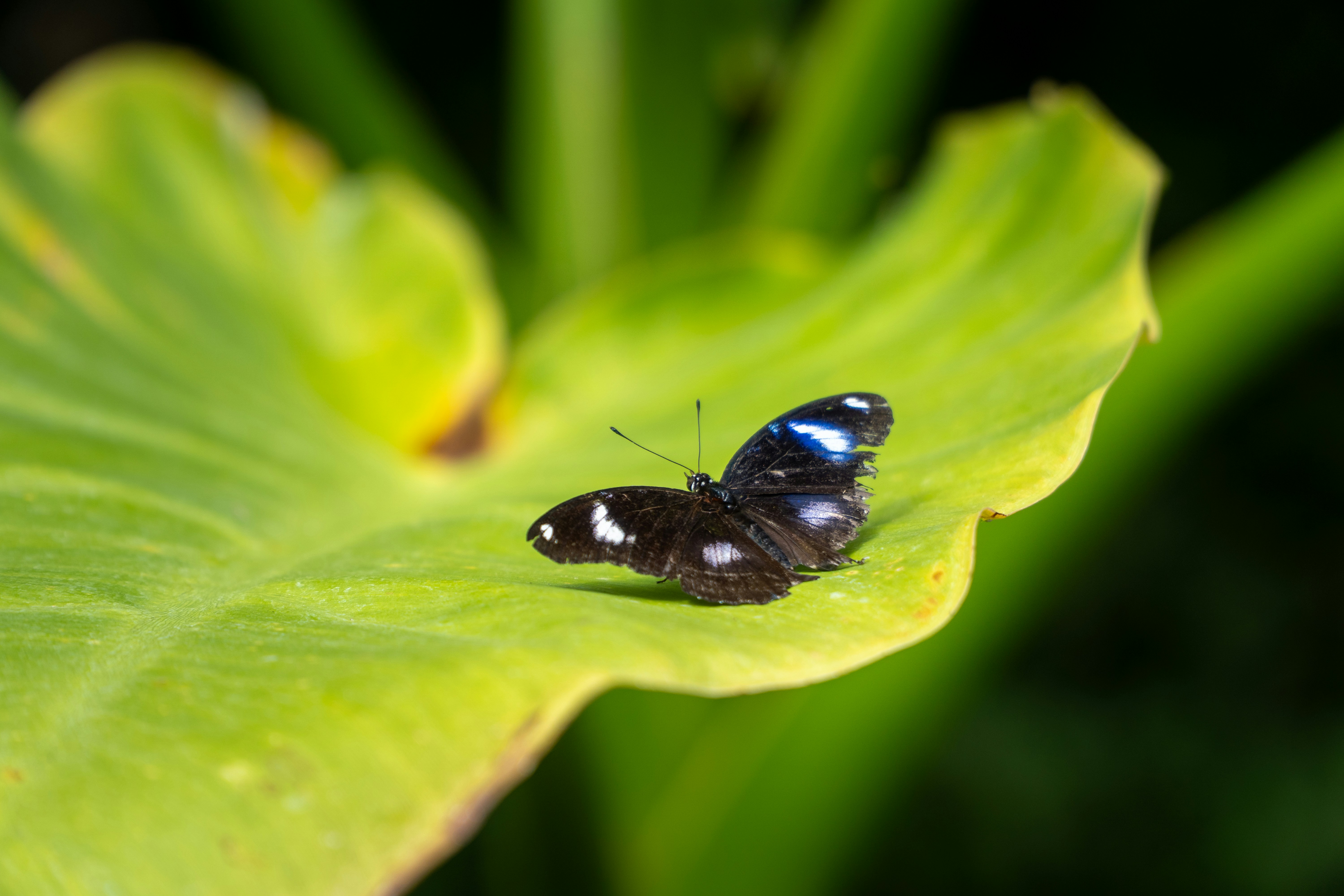 Photo by robwingate