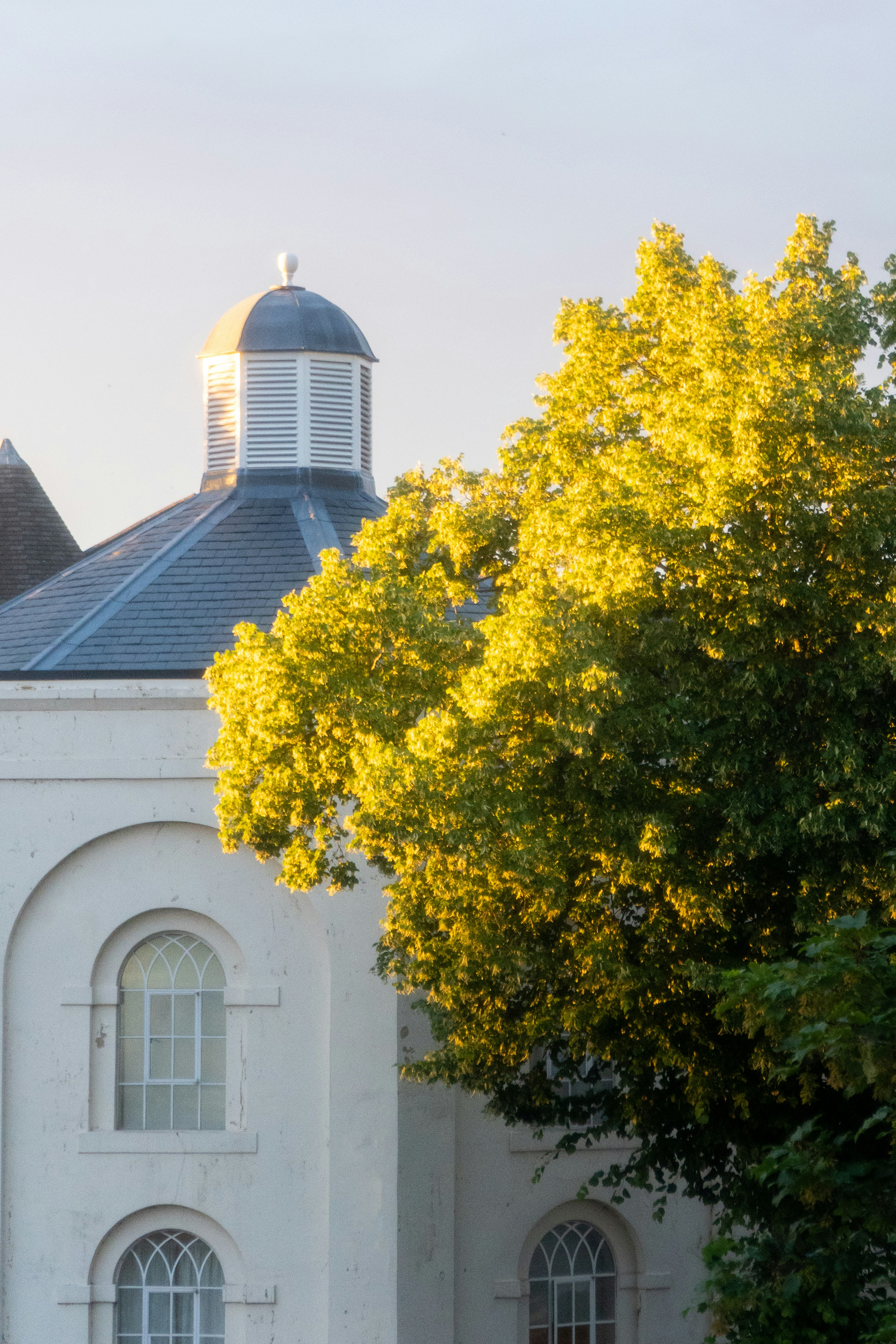 Um edifício e uma árvore são banhados pela luz do sol.