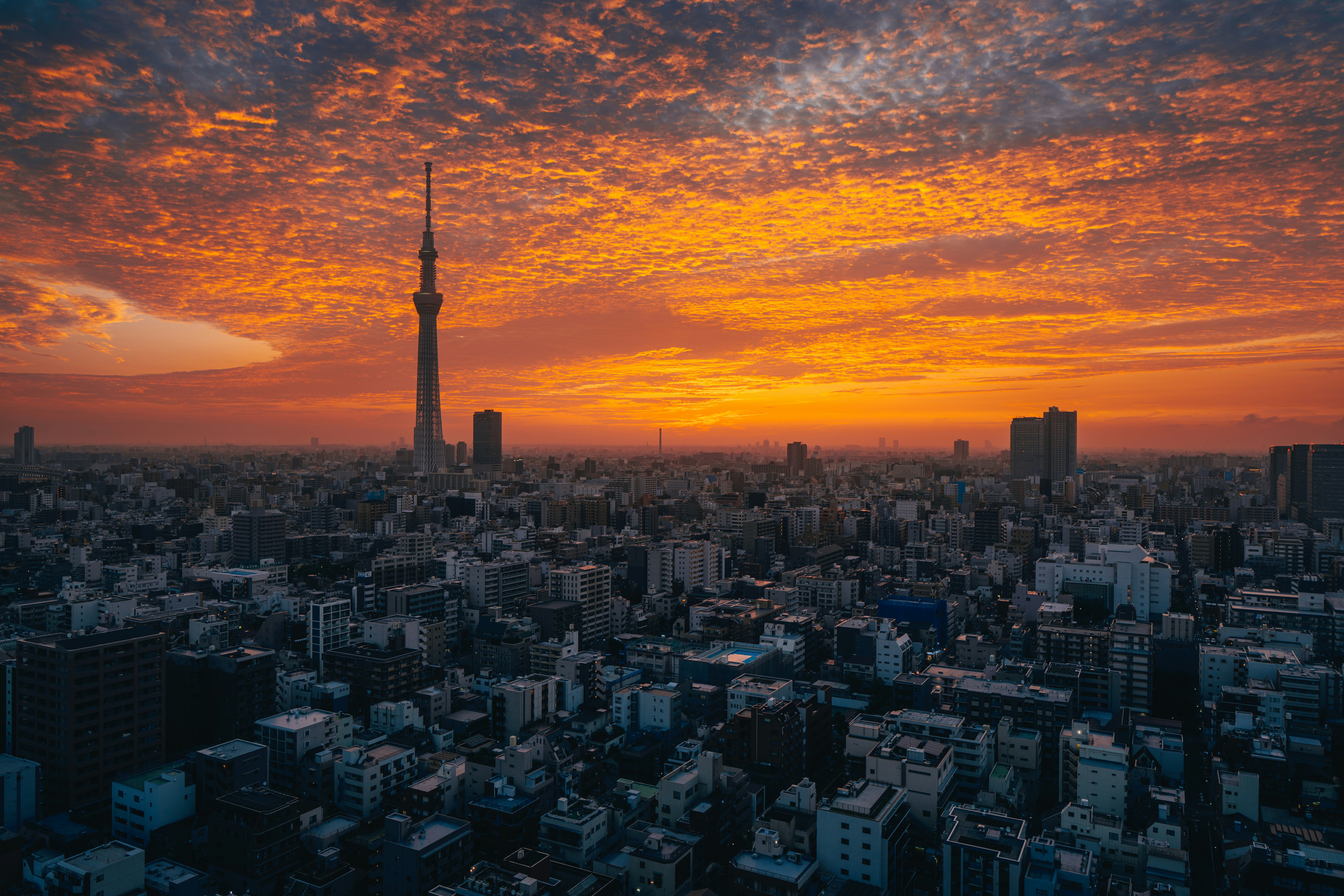 Stunning sunset over tokyo, with a high tower.