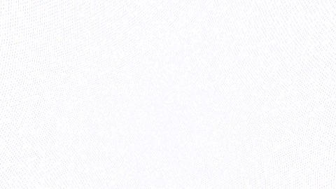 The image appears to be a white background.