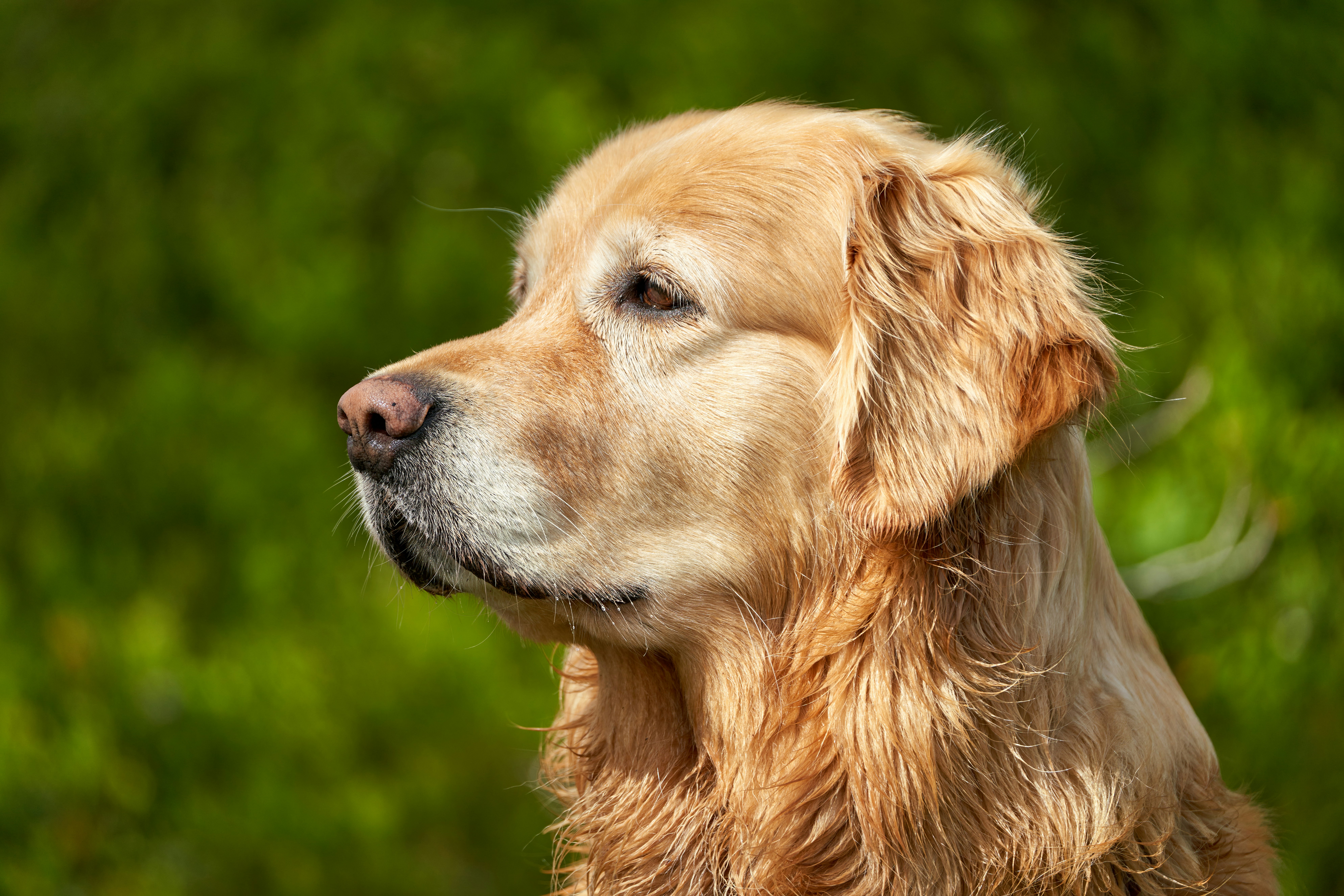 Photo by davotibarna