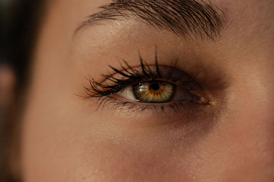 Close-up macro photograph of a human eye