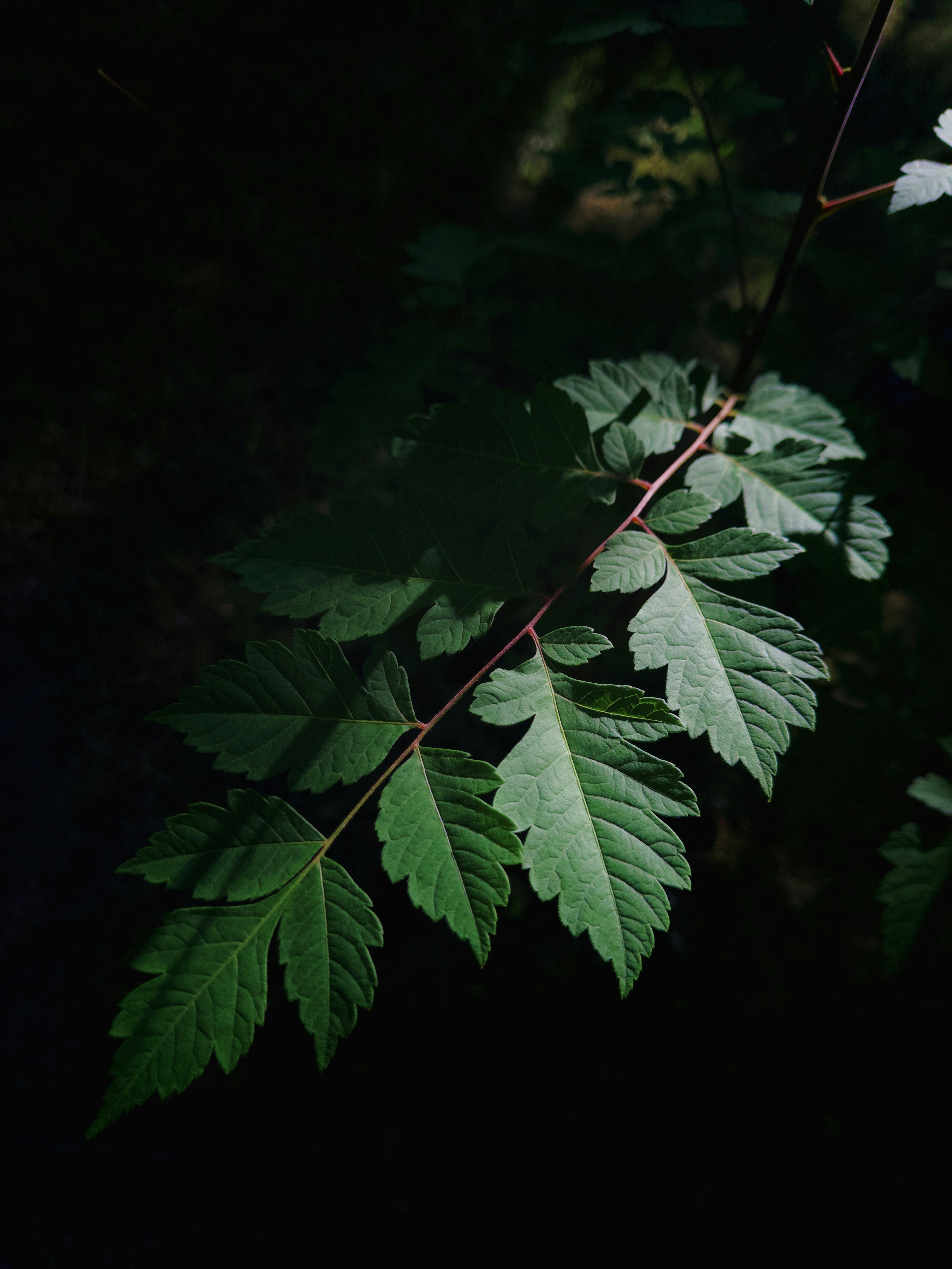 Photo by mrparalloid