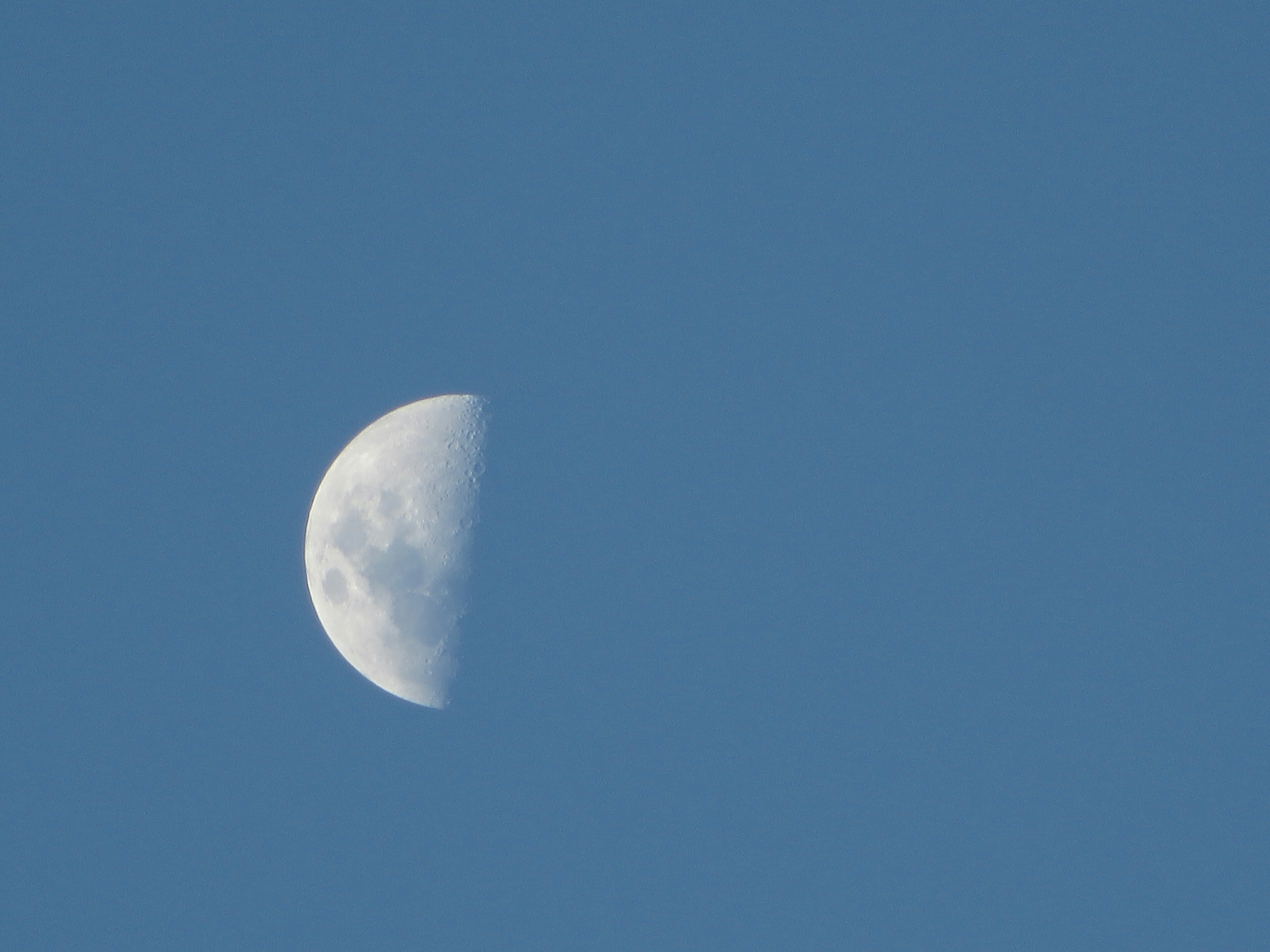 Half moon shines brightly in the blue sky.