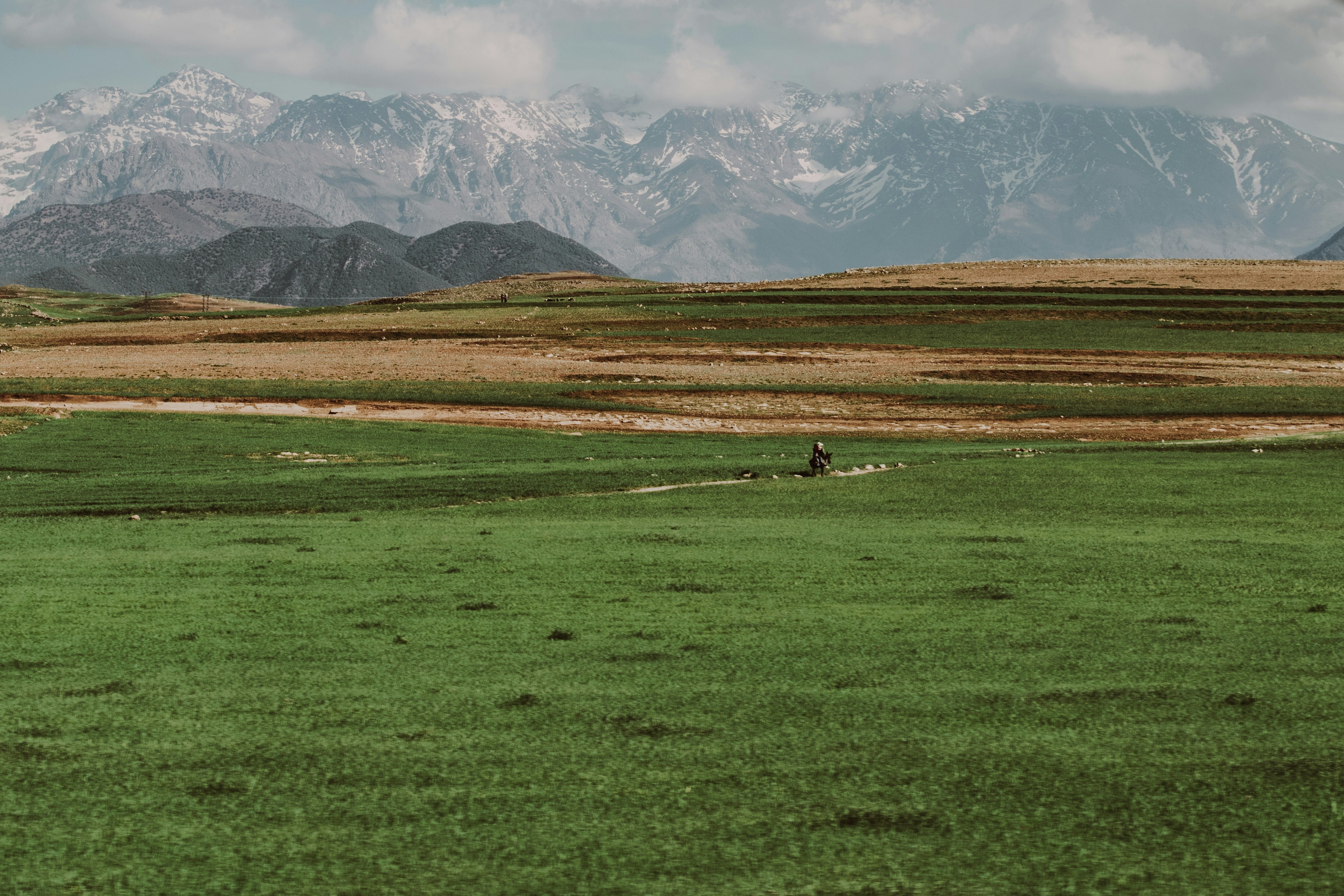 Mountains, fields, and flocks
