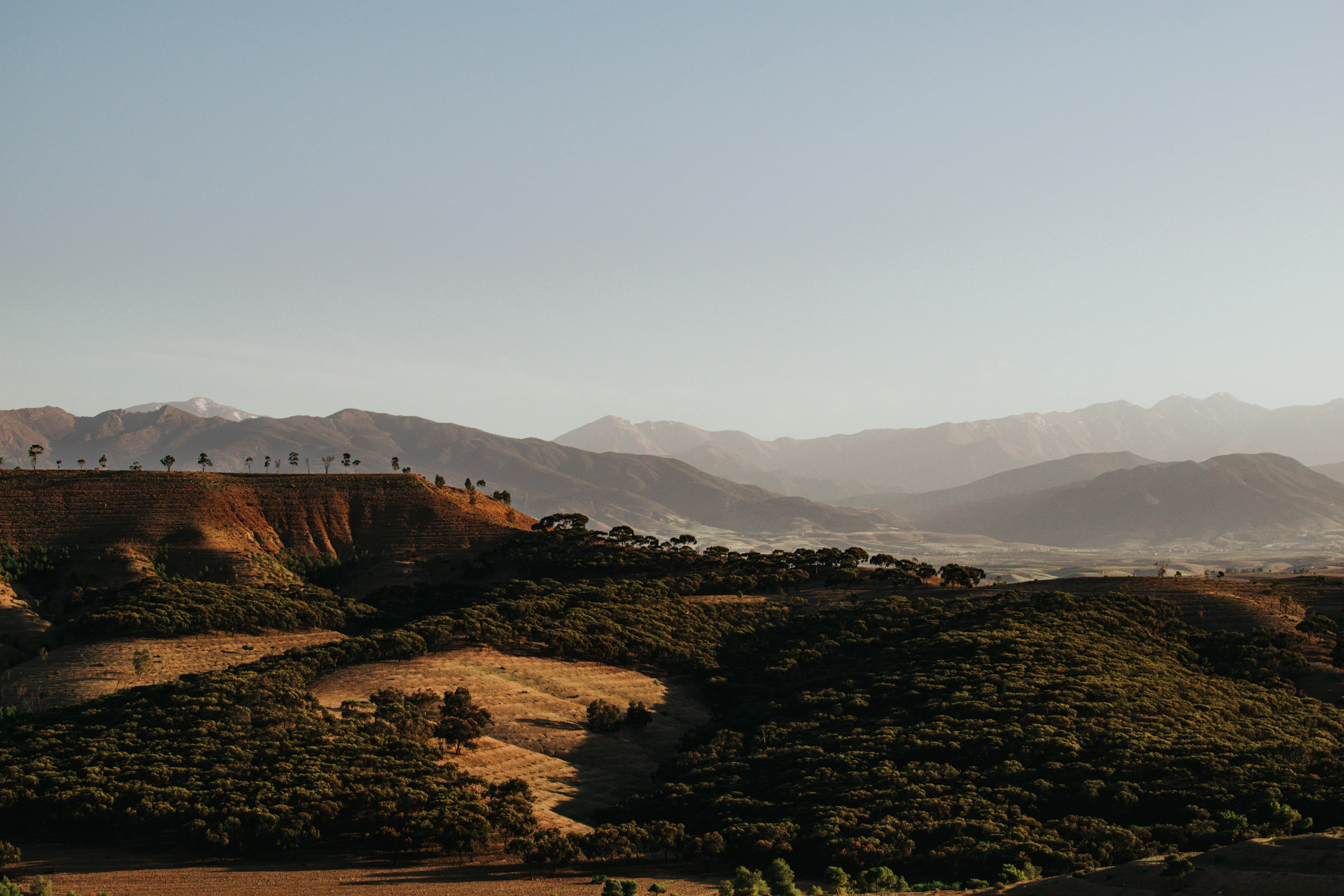Moroccan hills and groves in warm evening light