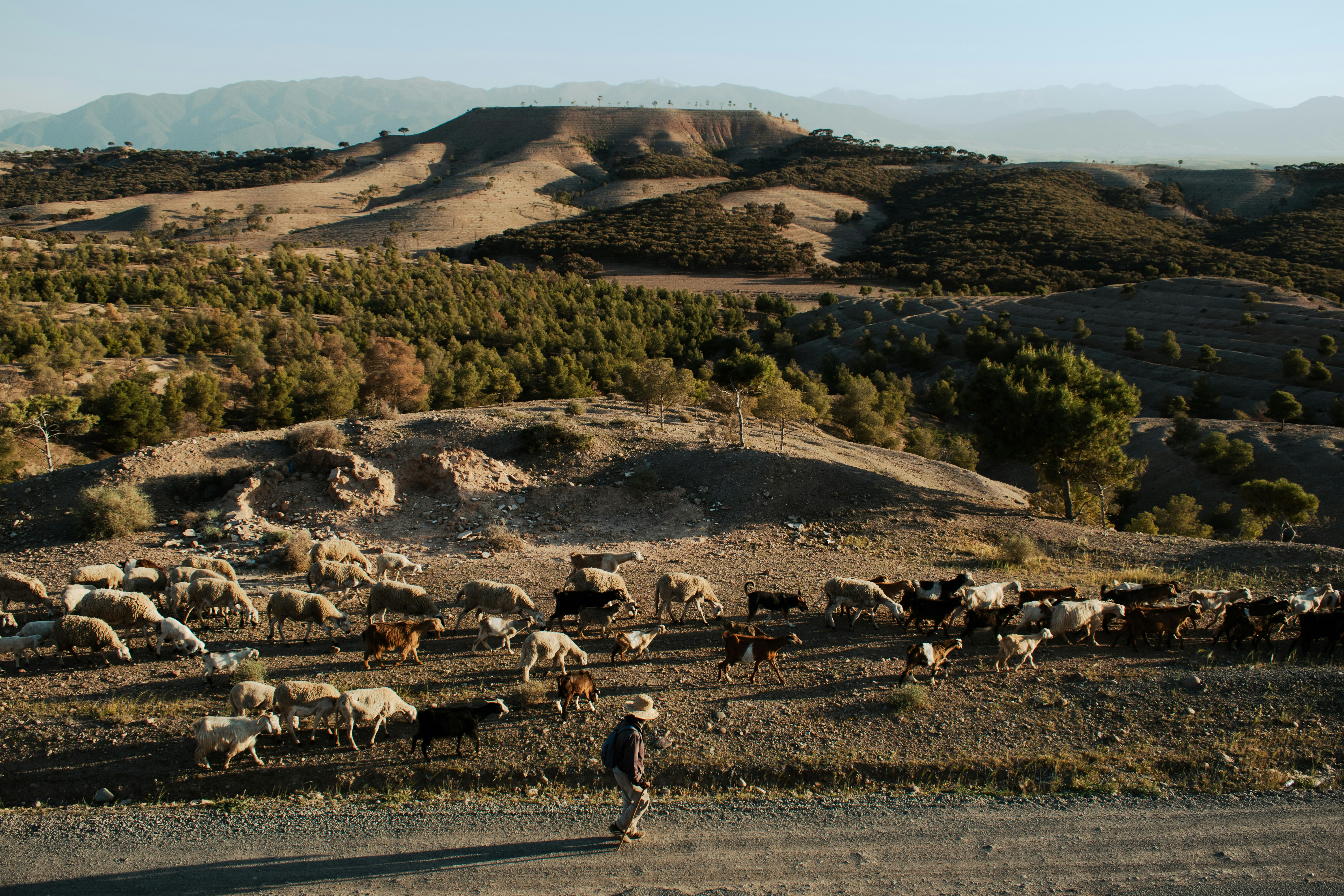 Engineering Marvels: Moving Mountains of Earth (image credits: unsplash)