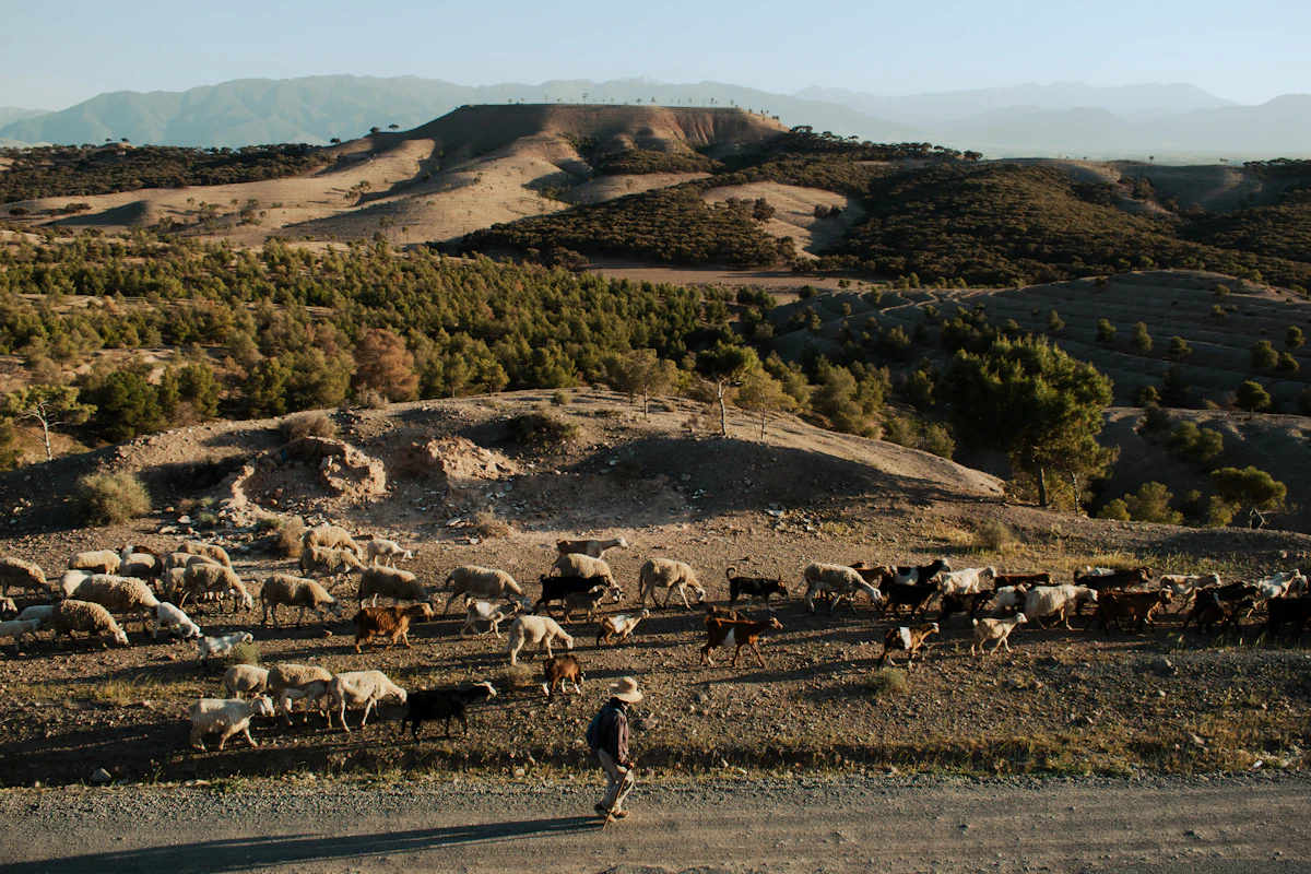 Morocco Beyond Marrakech