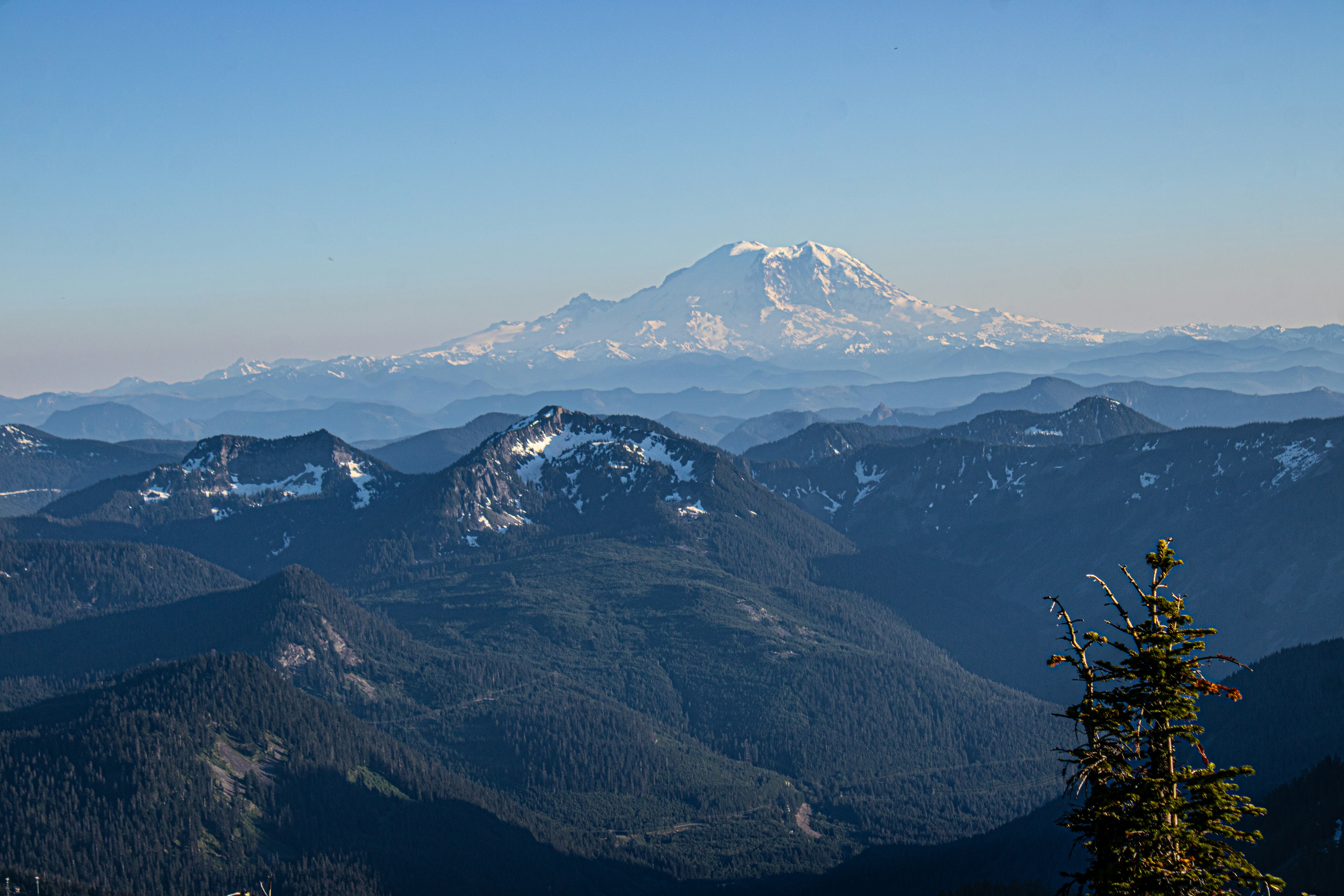 Photo by prphotography262