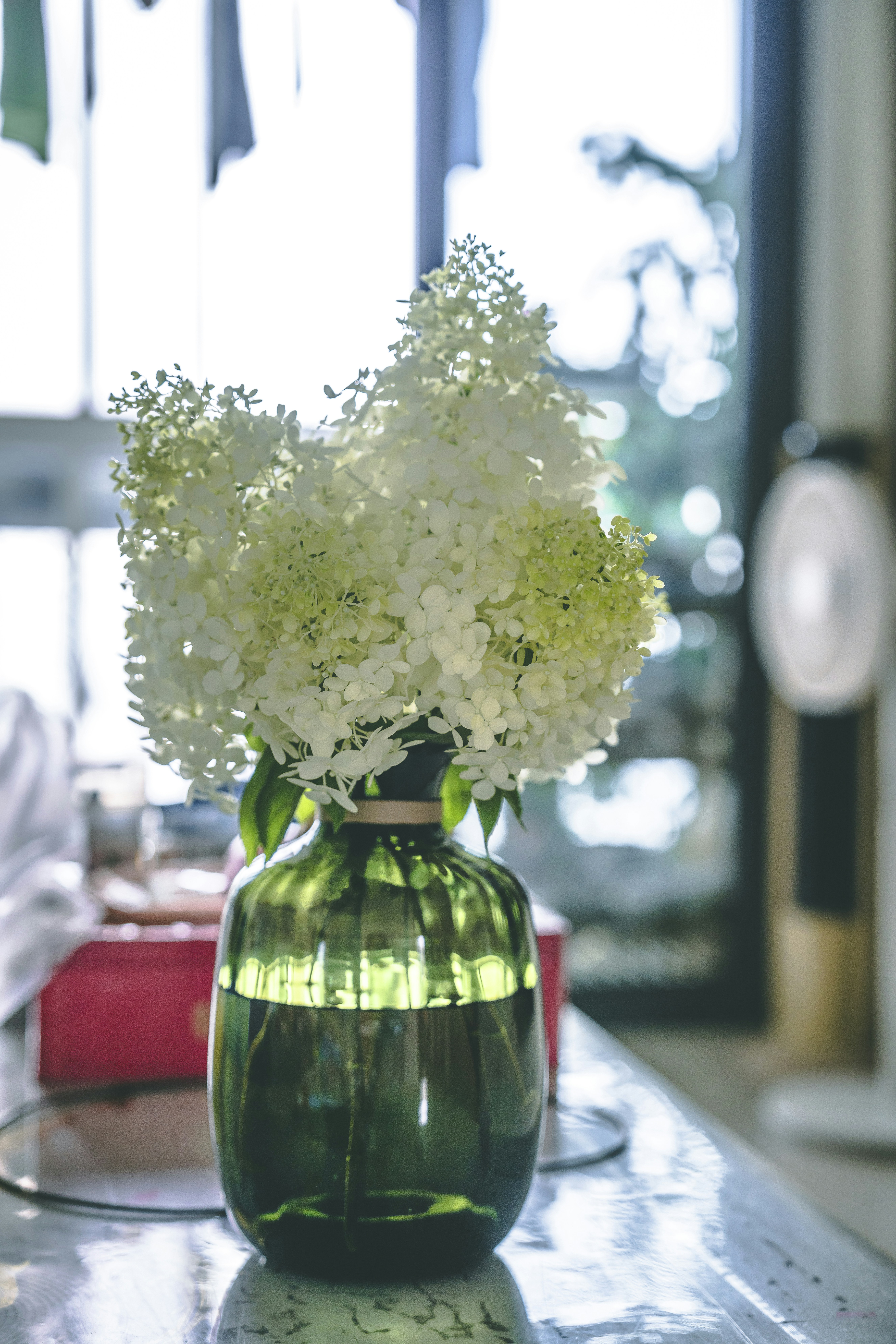 White flowers bloom beautifully in a green vase.