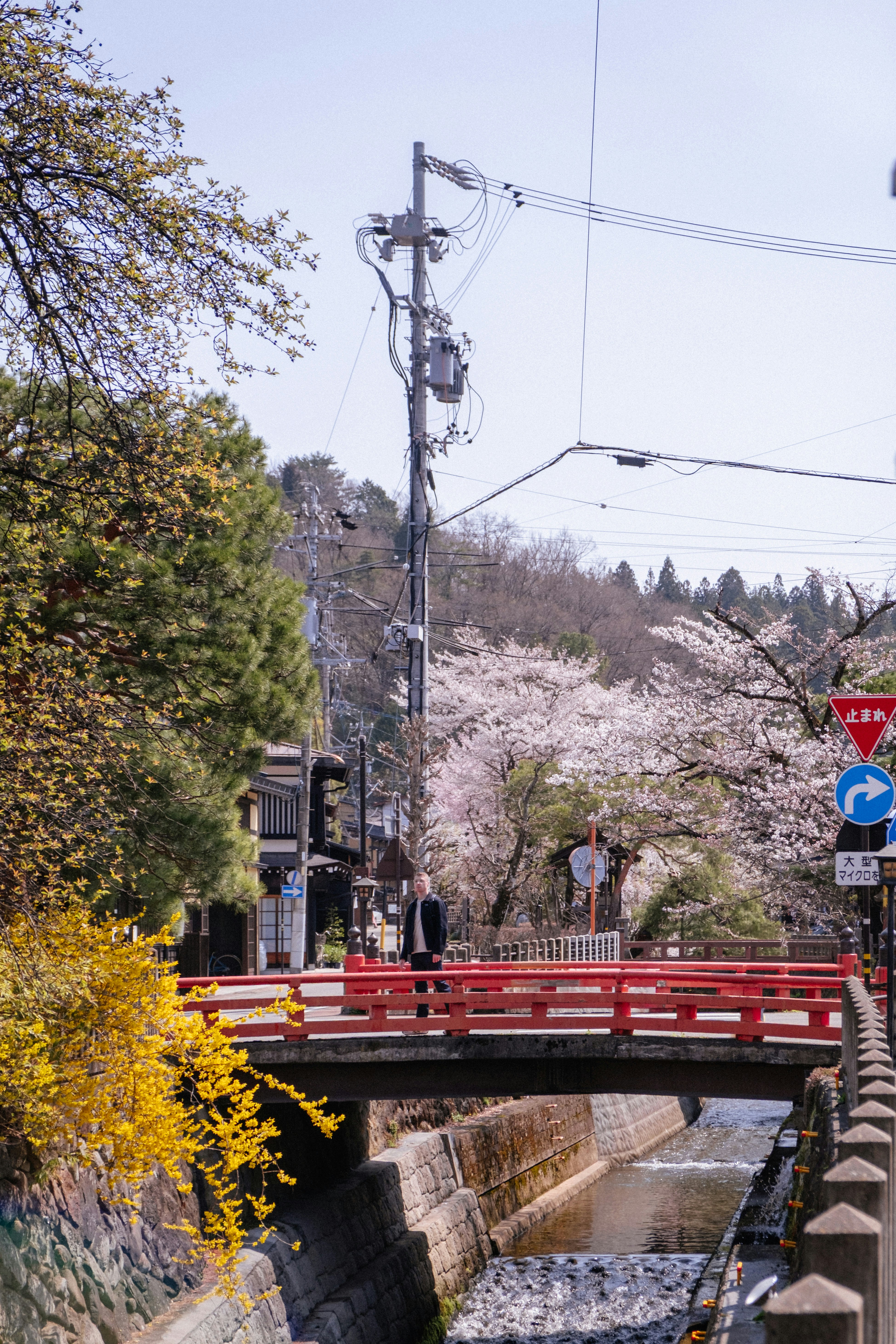 Photo by johanmouchet