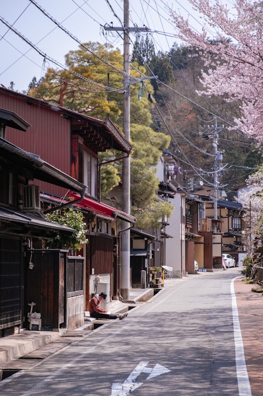 Seasonal Japan: When to Visit, When to Buy, and When to Renovate