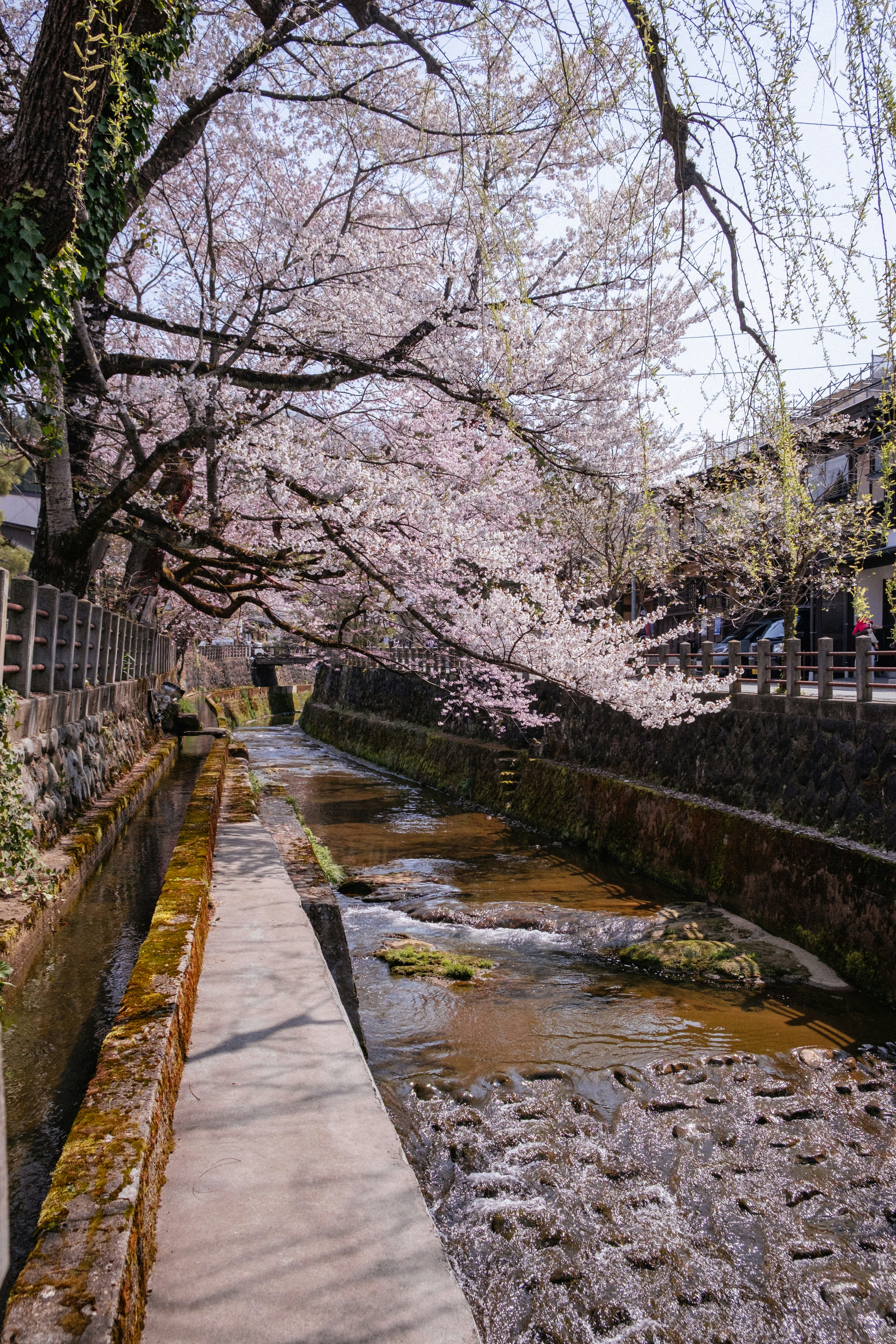 Photo by johanmouchet