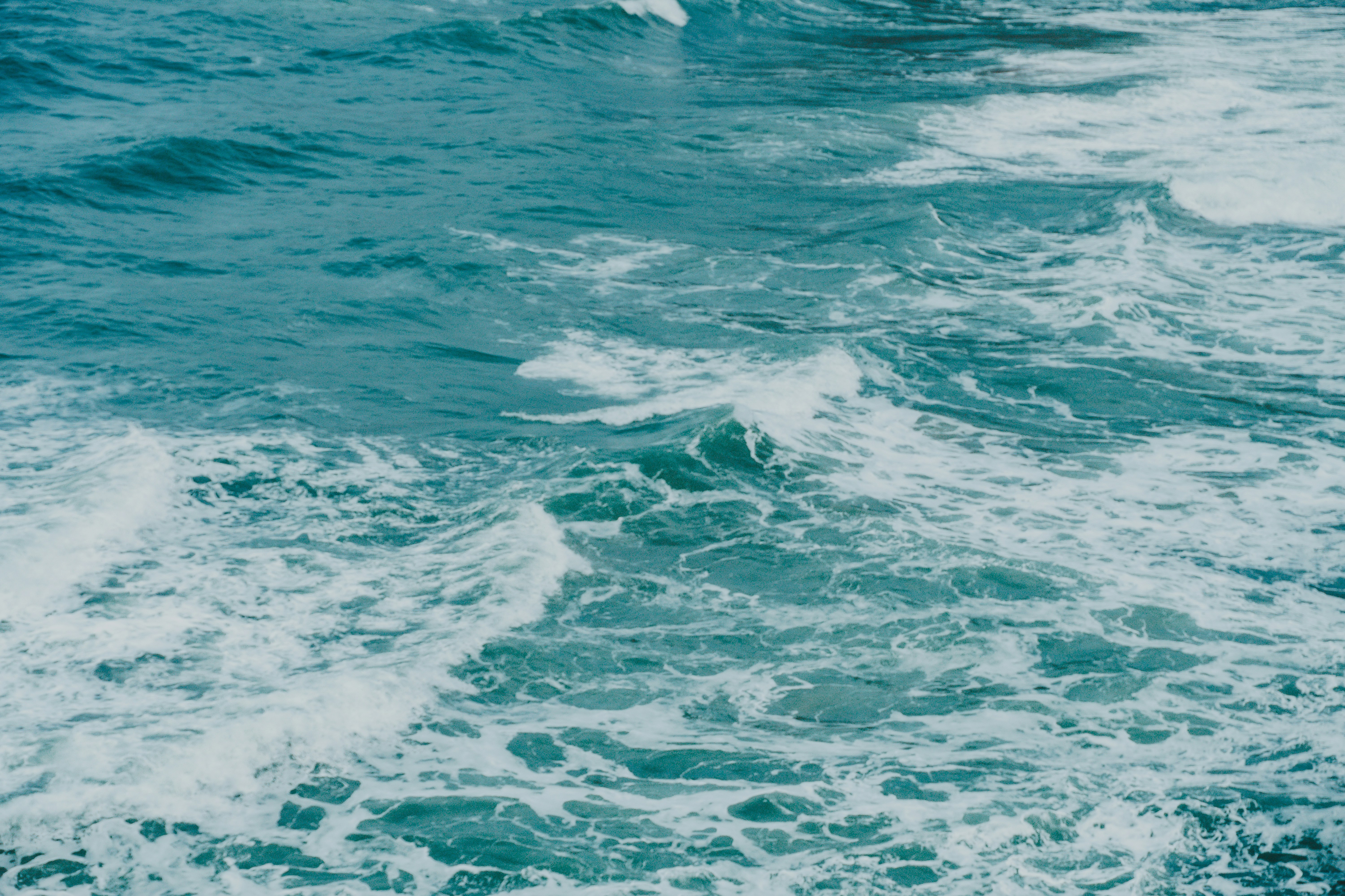 Photo by jaydinh1296