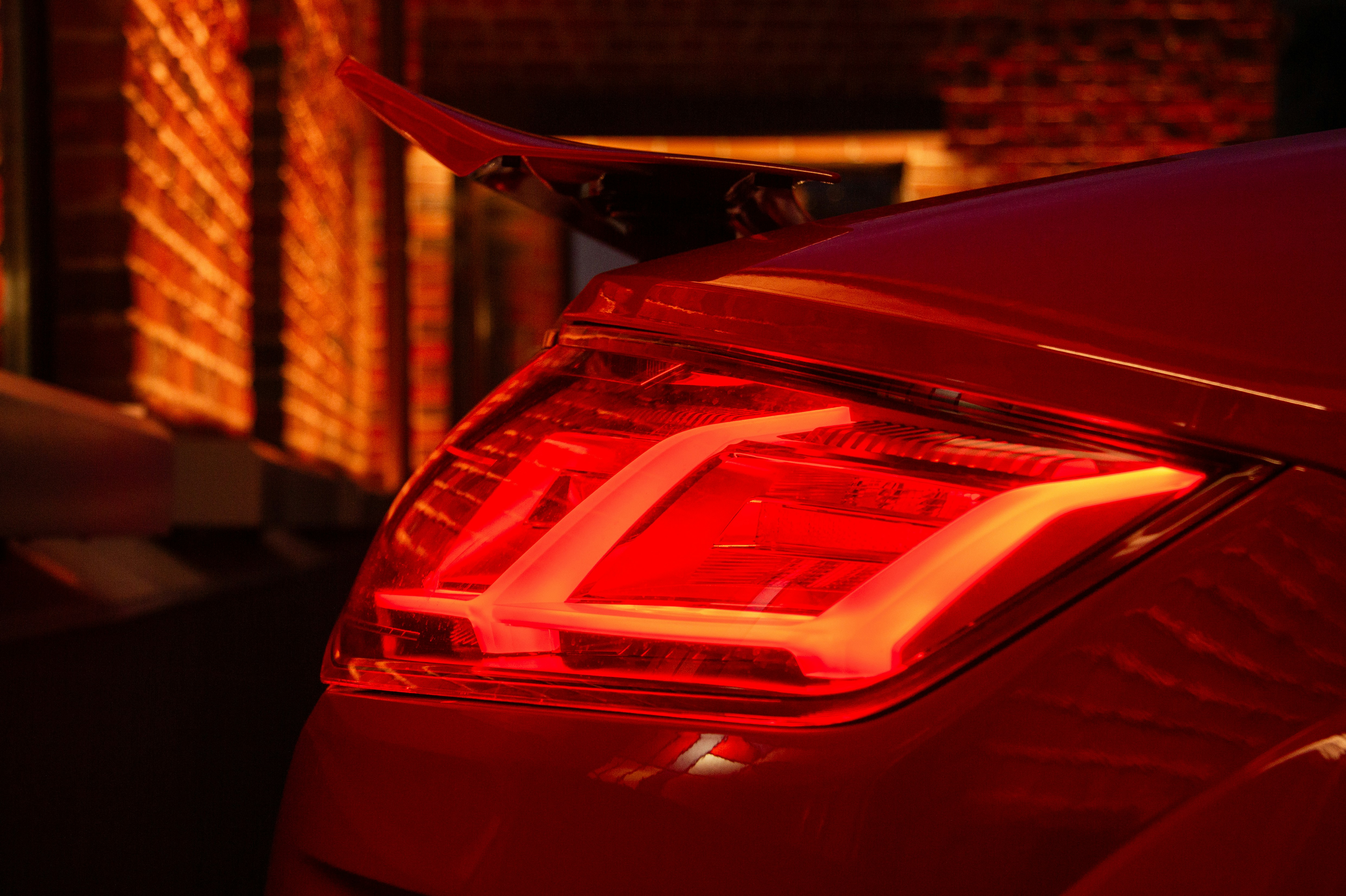 Photo by felis_catus