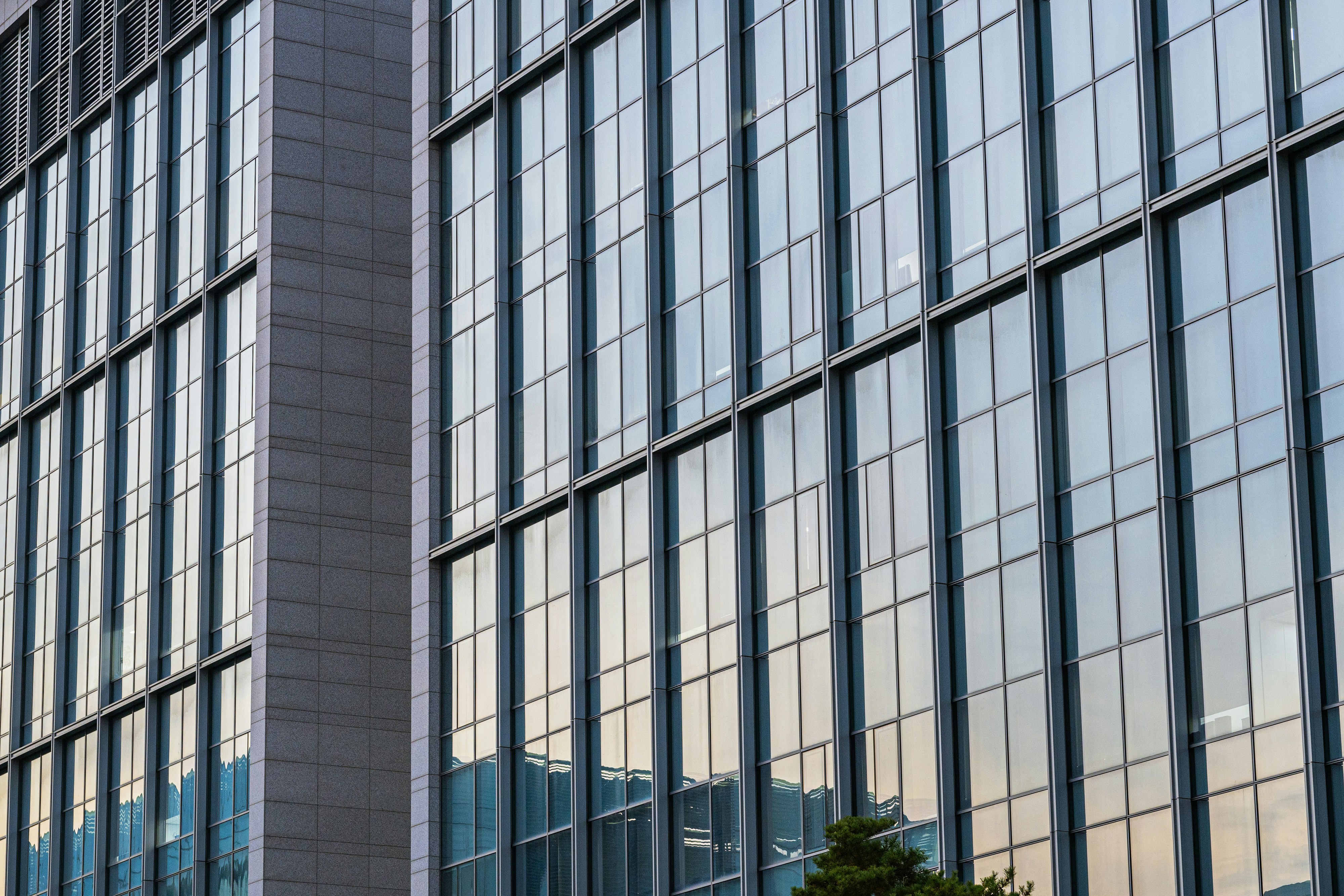 Photo by patrick_kim