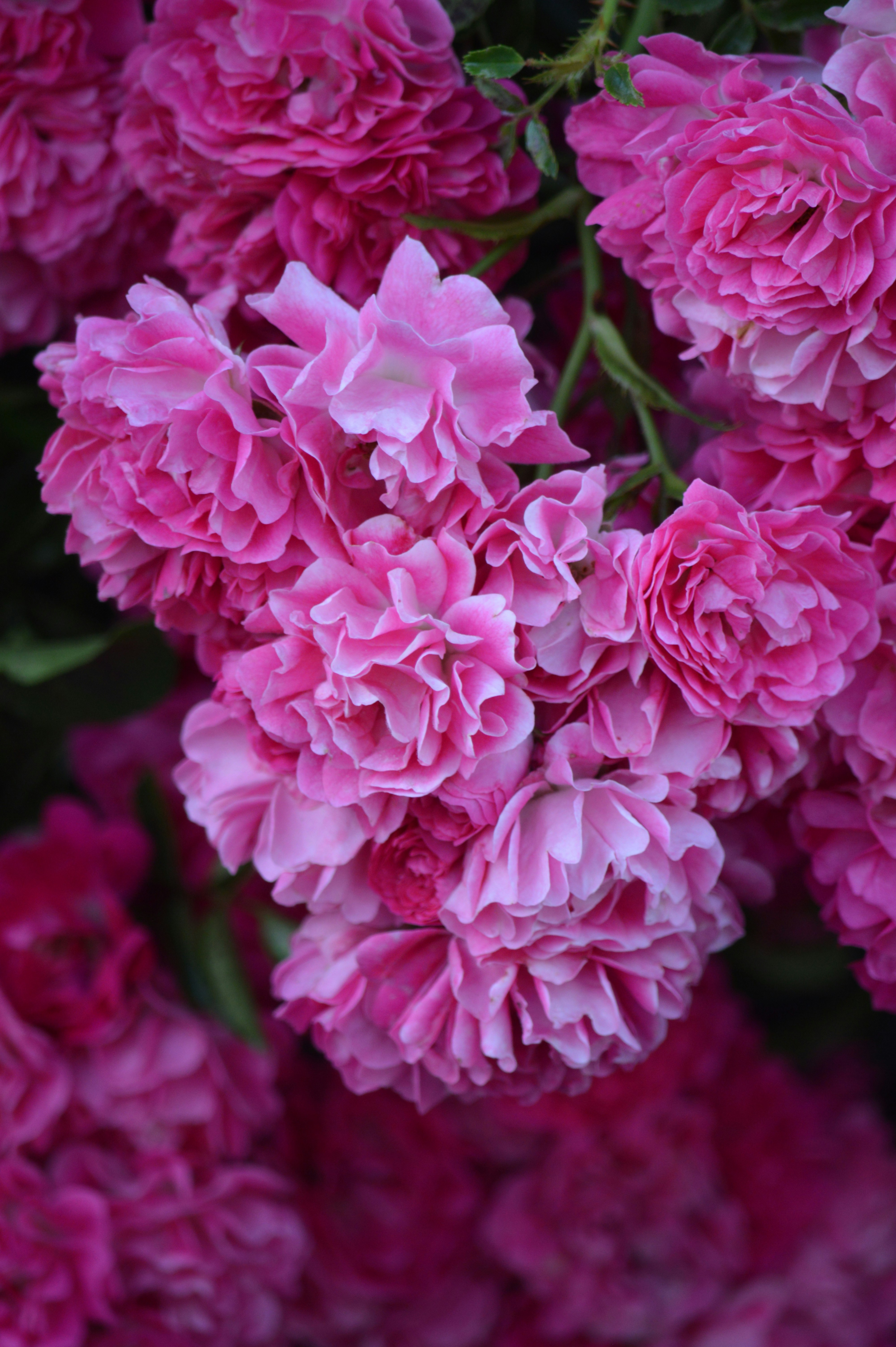 Photo by jennifer_maier_art