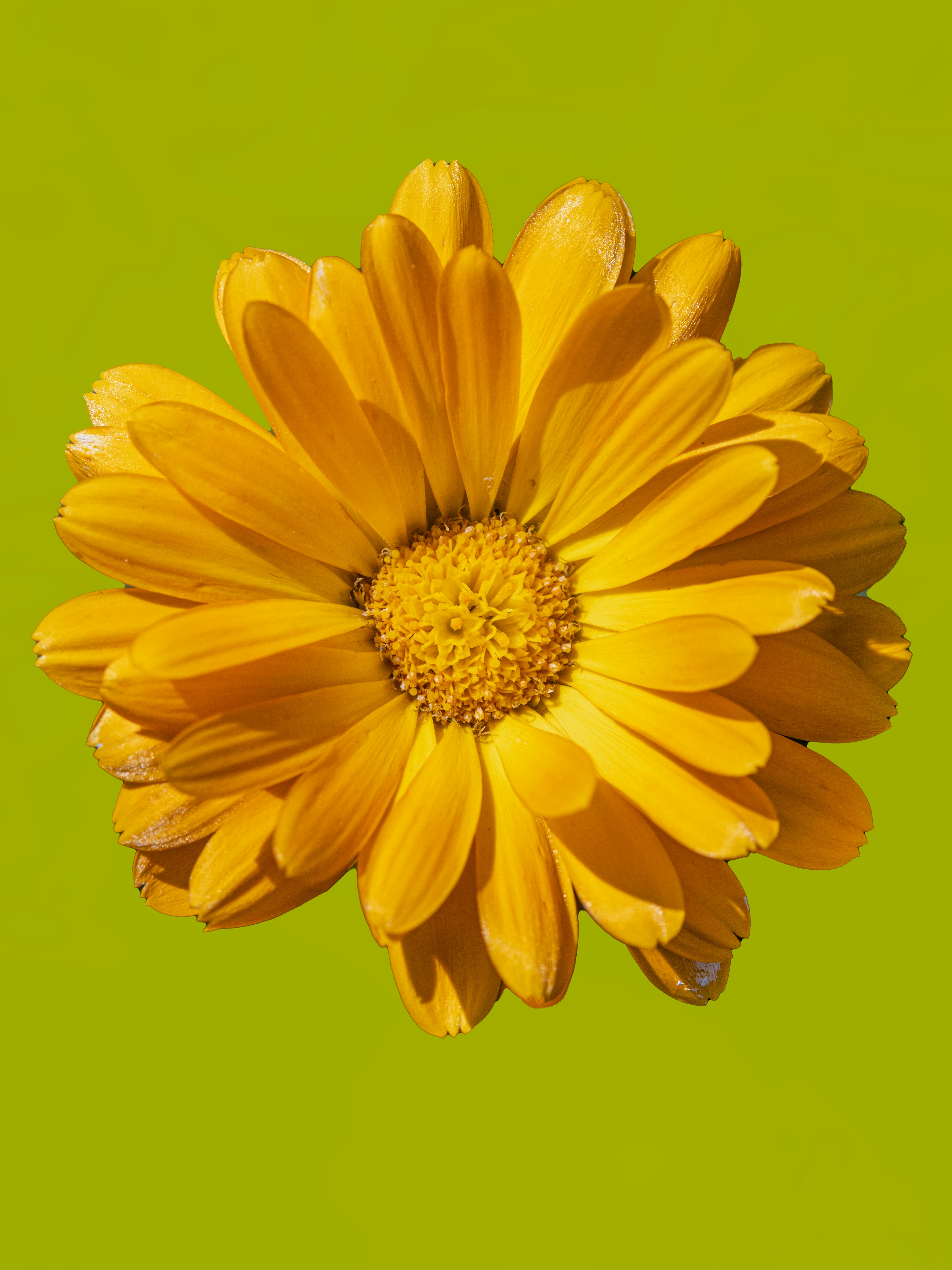 Photo by siegfriedpoepperl