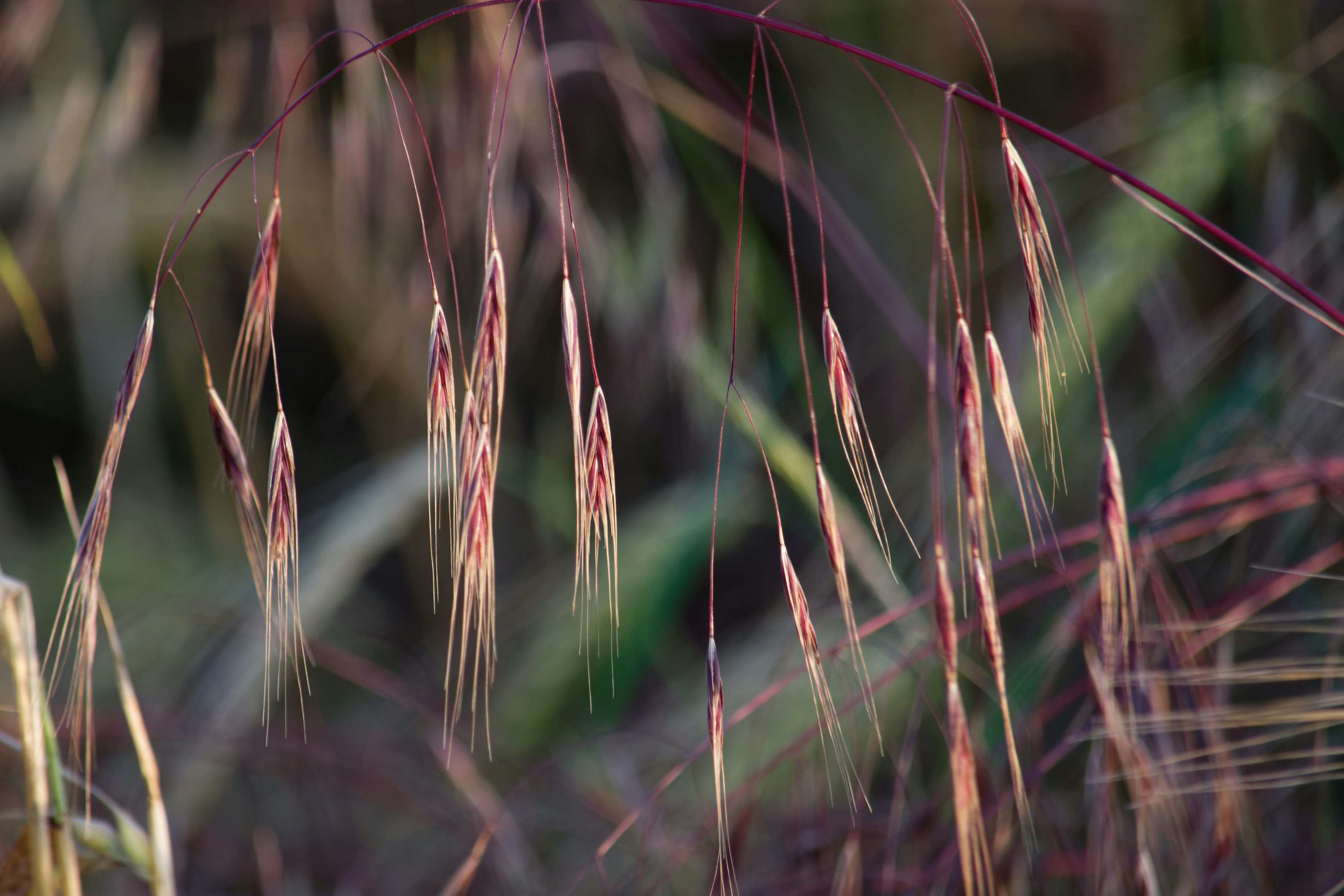 Photo by designbytholen