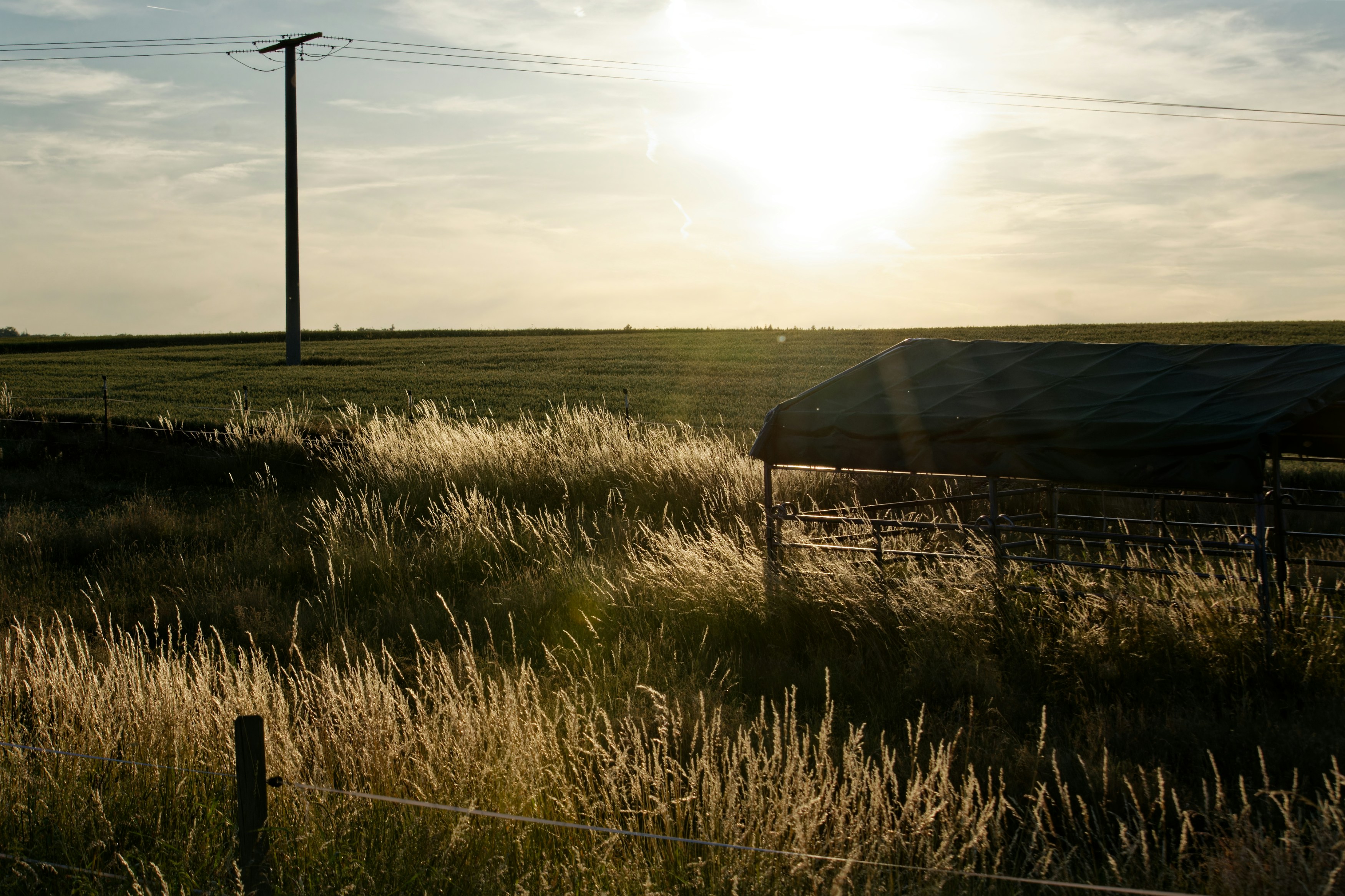 Photo by designbytholen