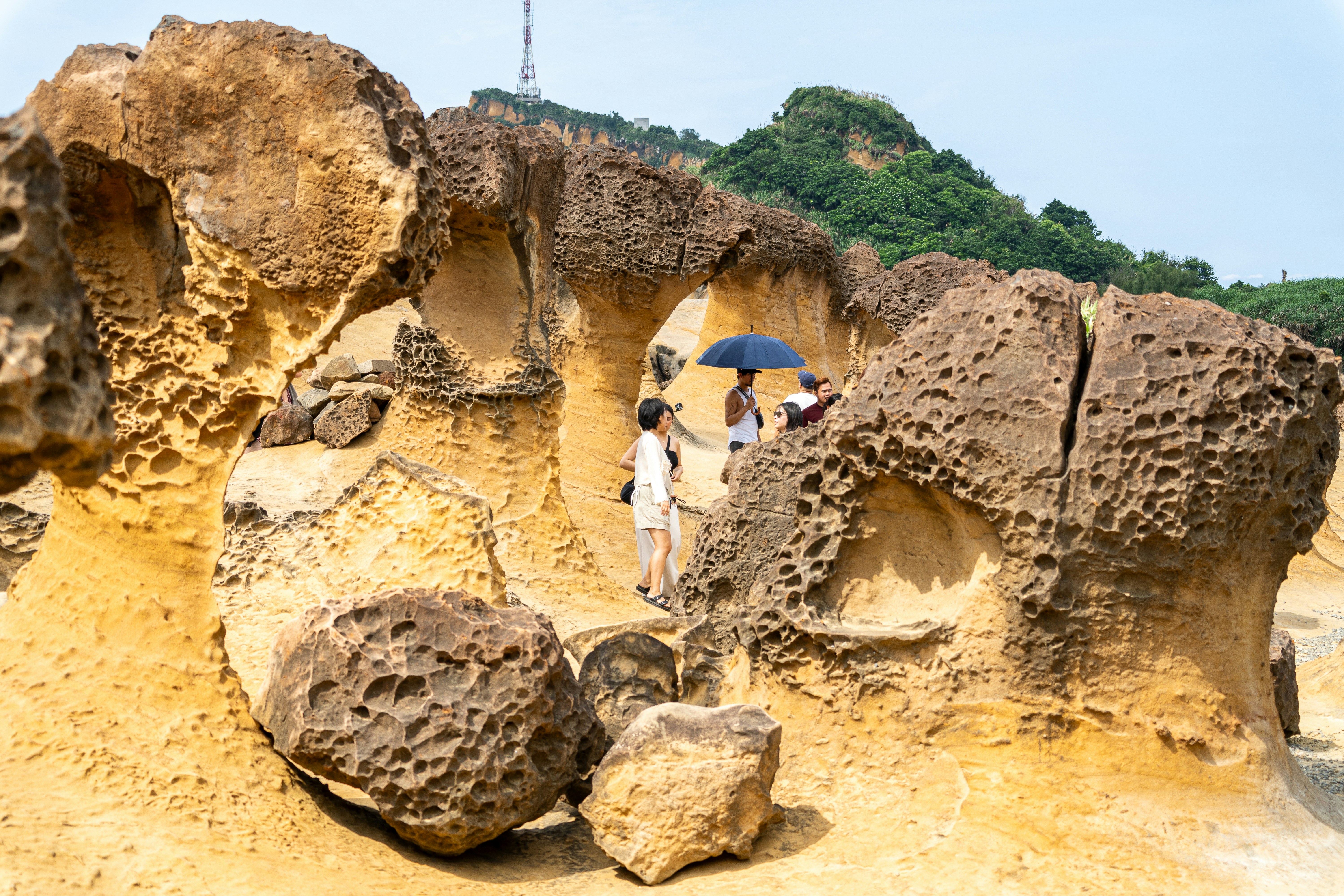 The Living Laboratory (image credits: unsplash)