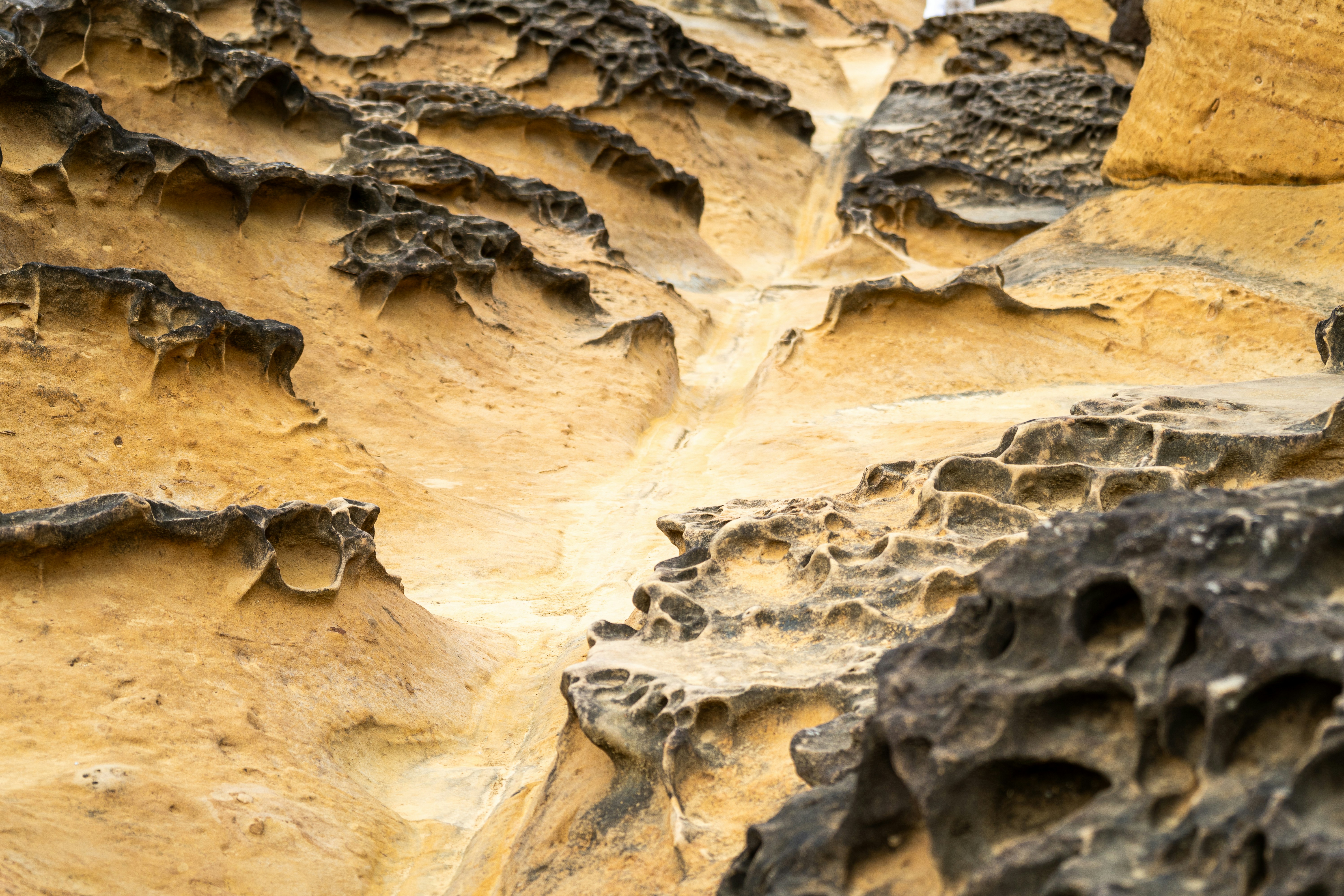 Photo by winstonchen