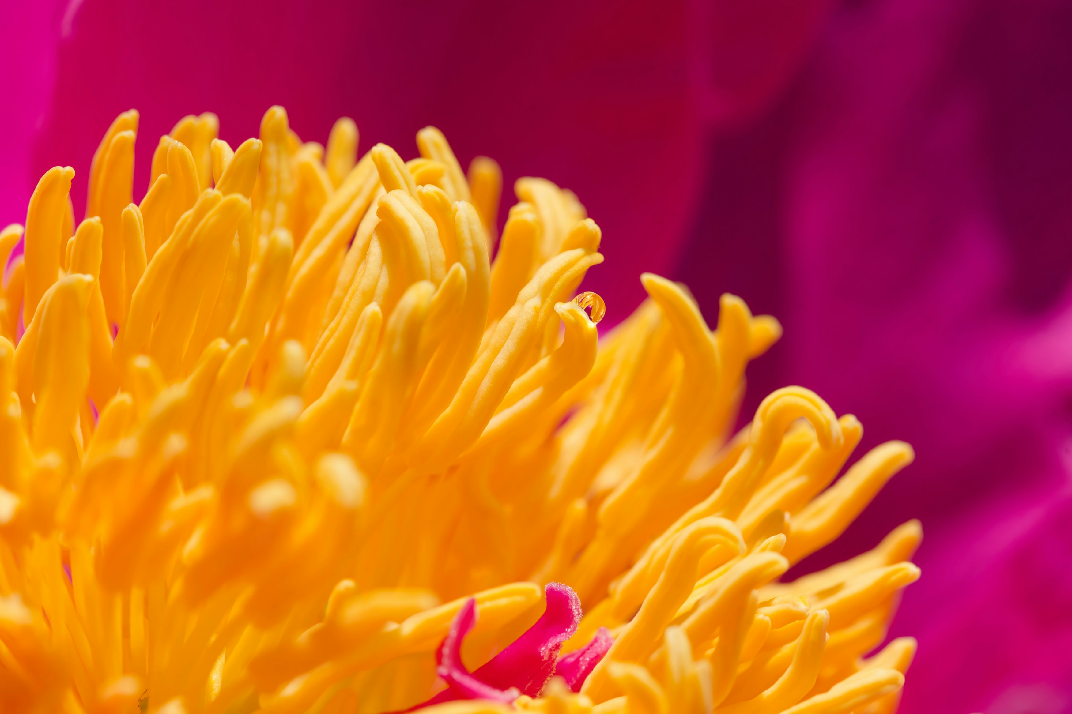 Photo by designbytholen