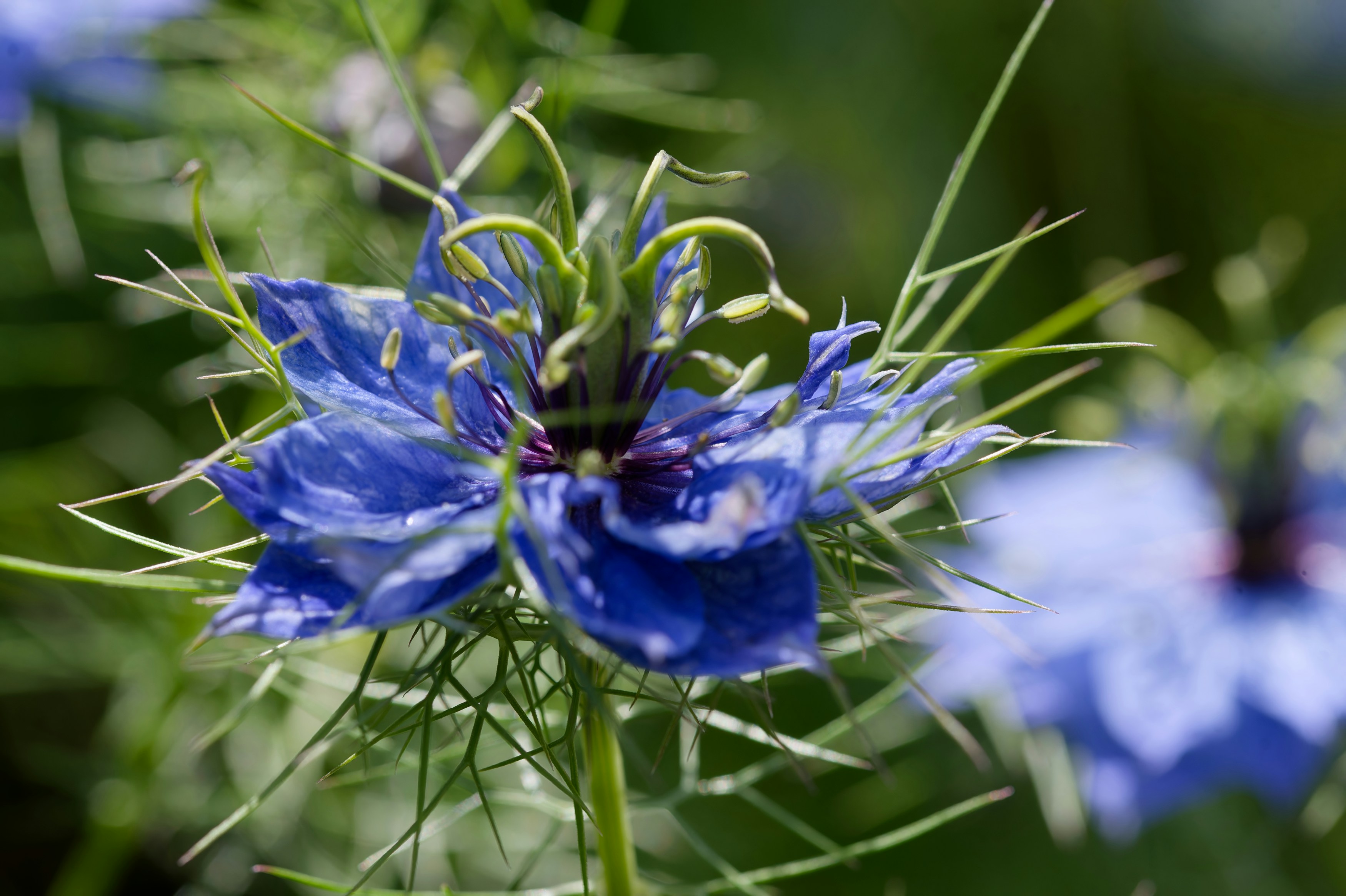 Photo by designbytholen