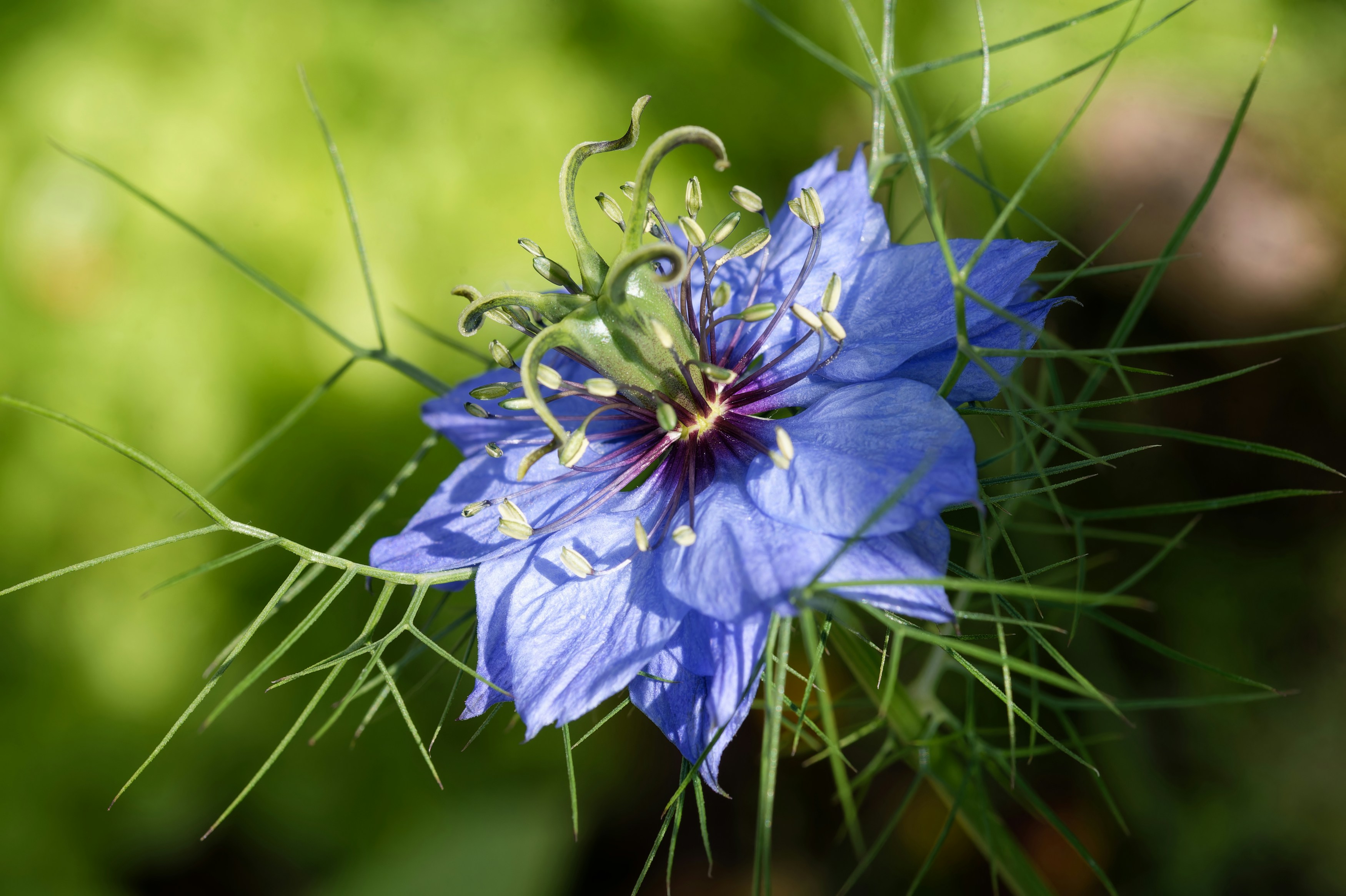 Photo by designbytholen