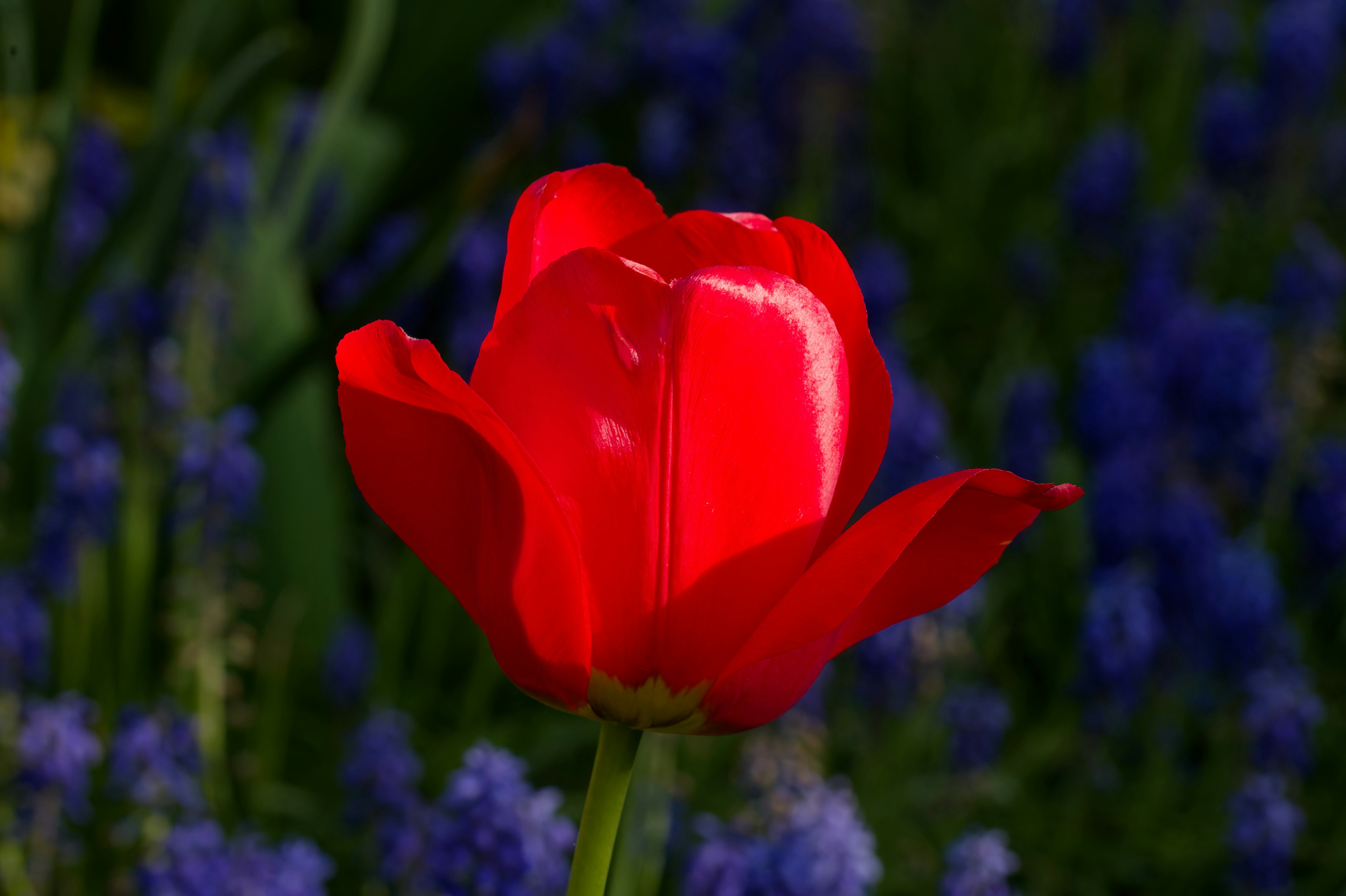 Photo by designbytholen