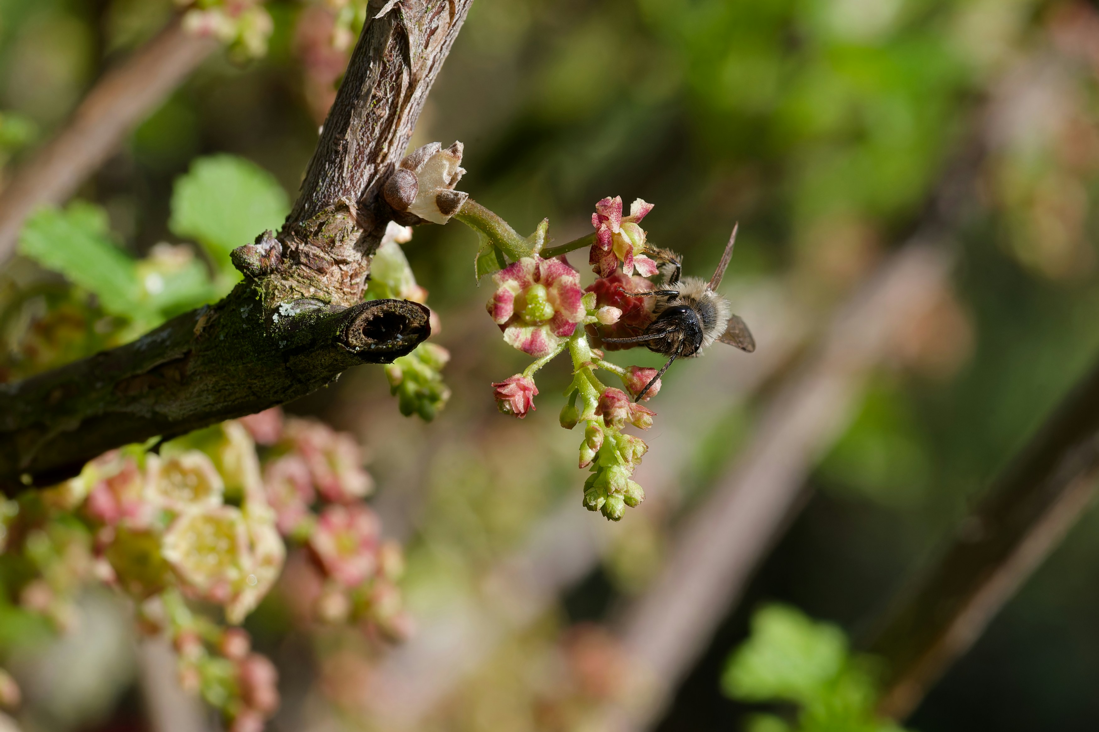 Photo by designbytholen