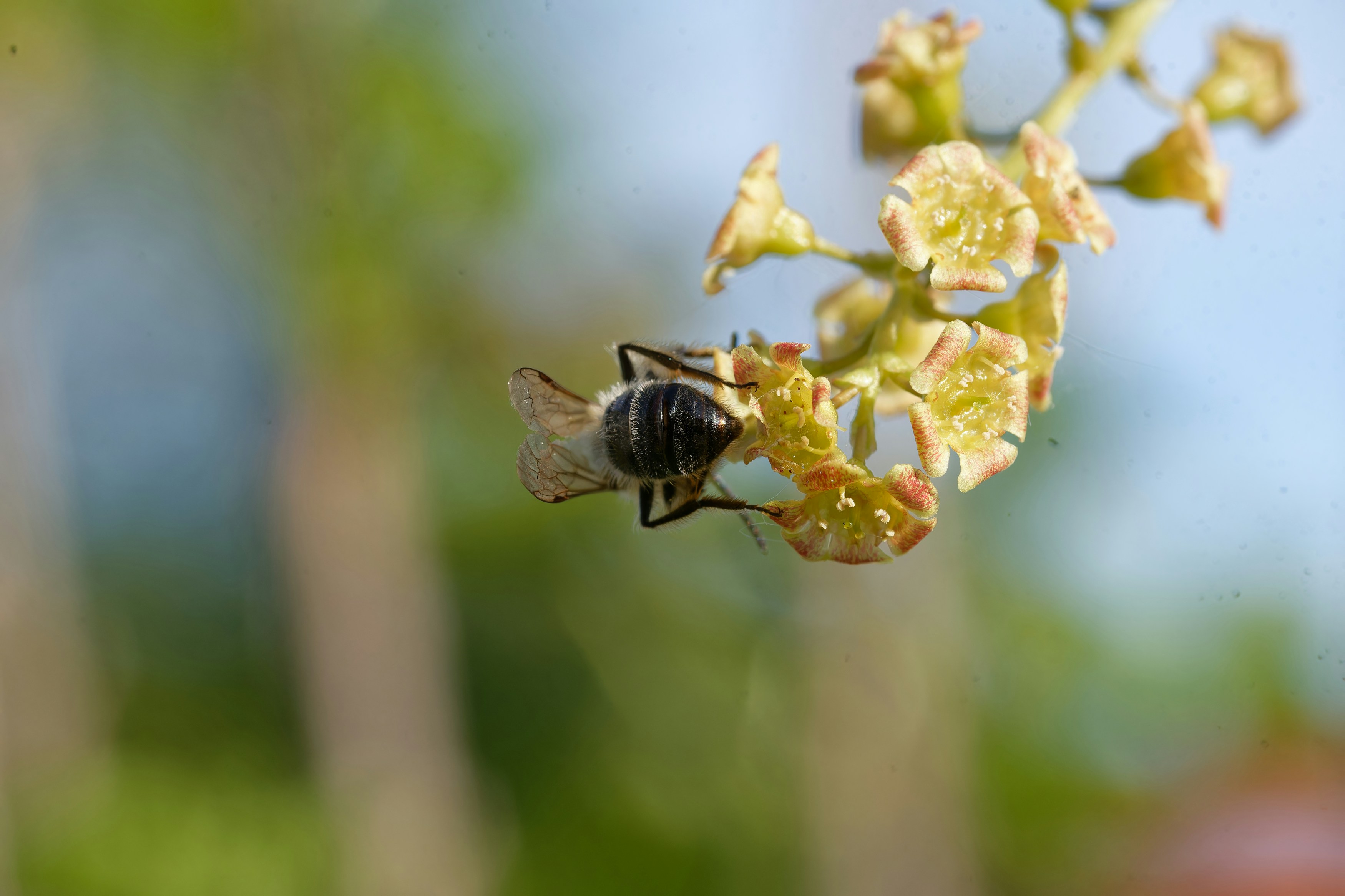 Photo by designbytholen