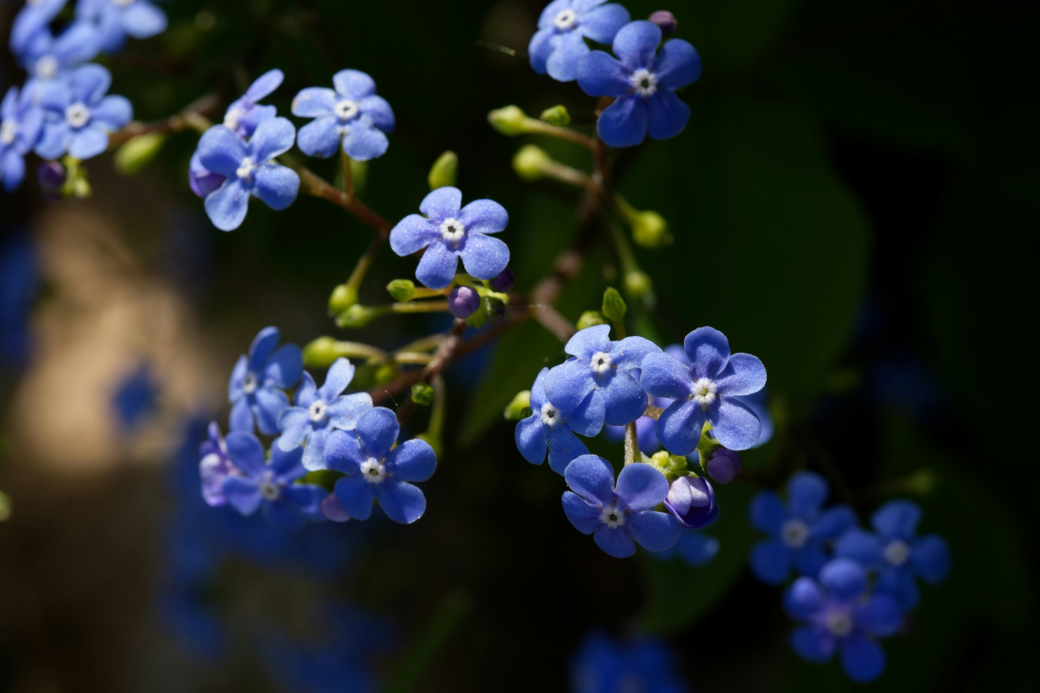 Photo by designbytholen