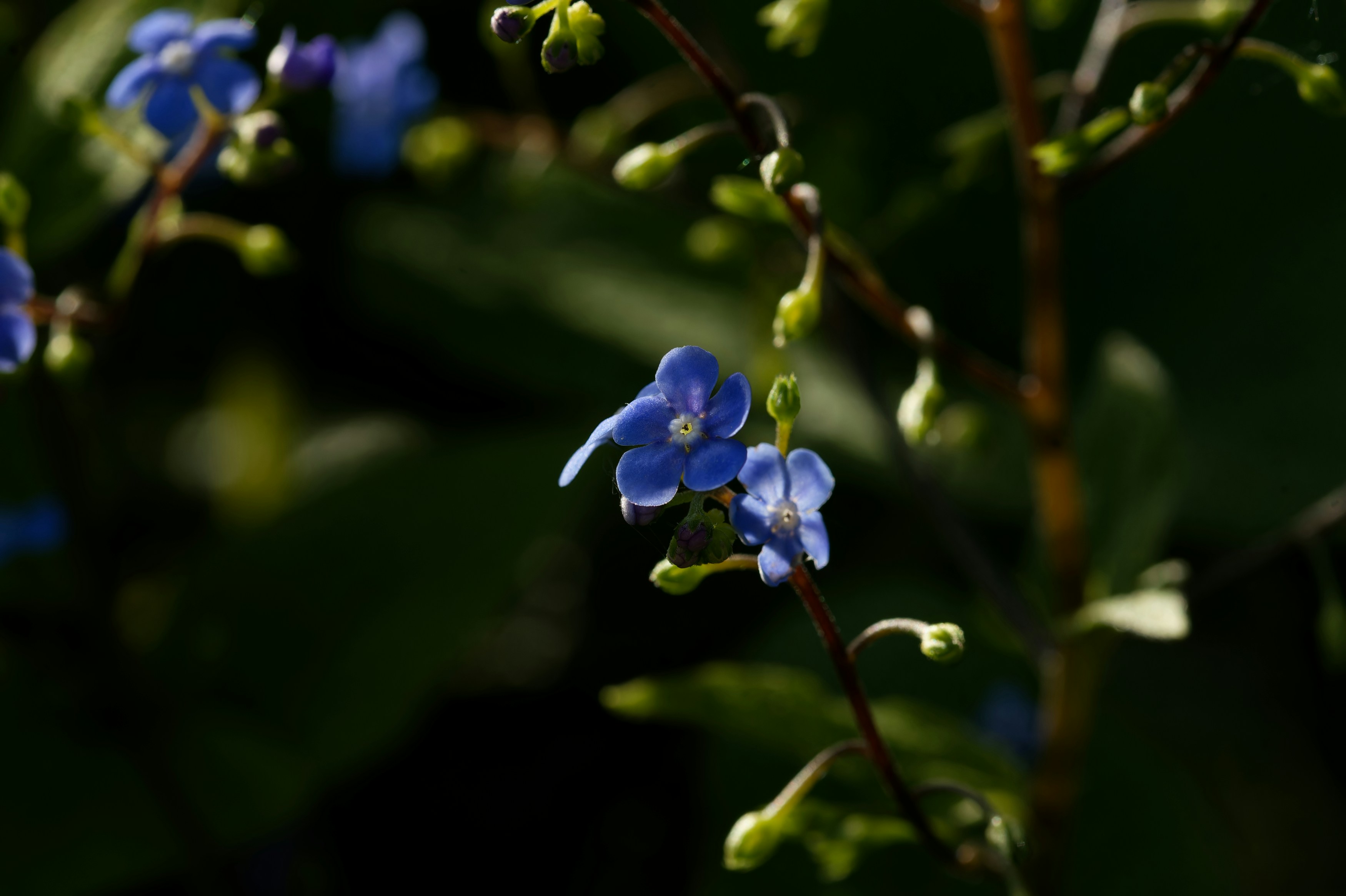 Photo by designbytholen