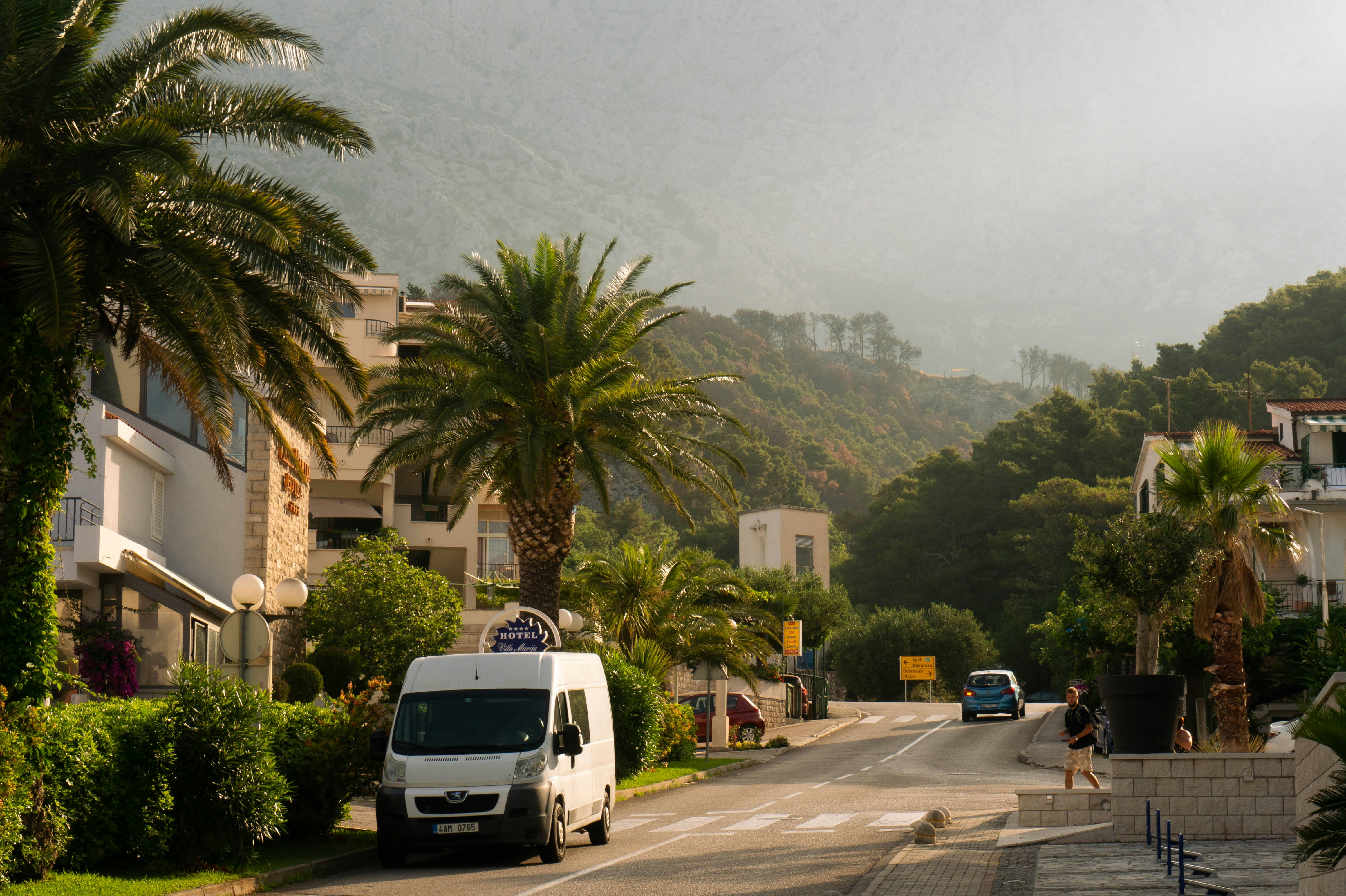 Palm trees line a coastal road near mountains.