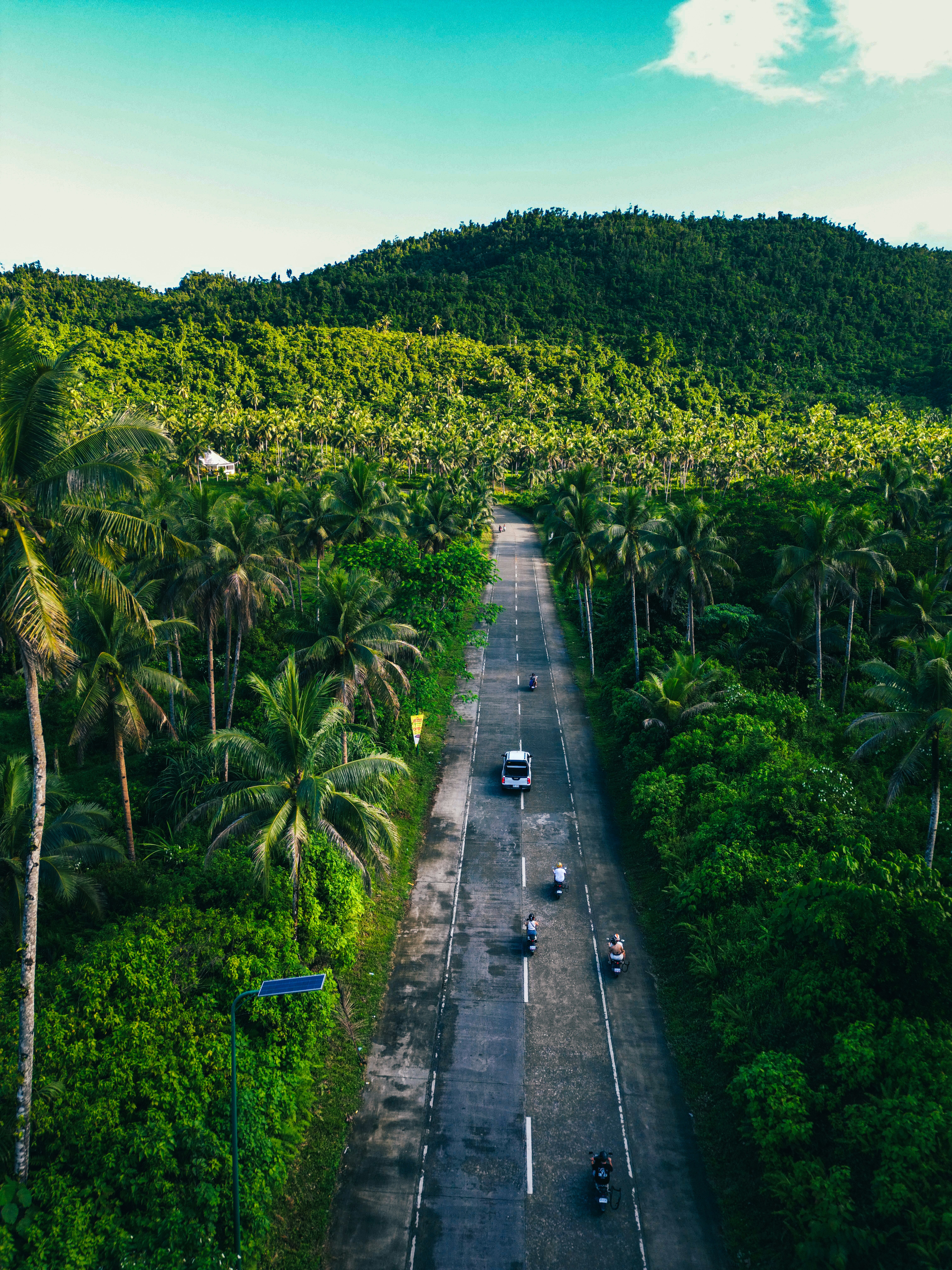 Road winding through a lush, green forest landscape.