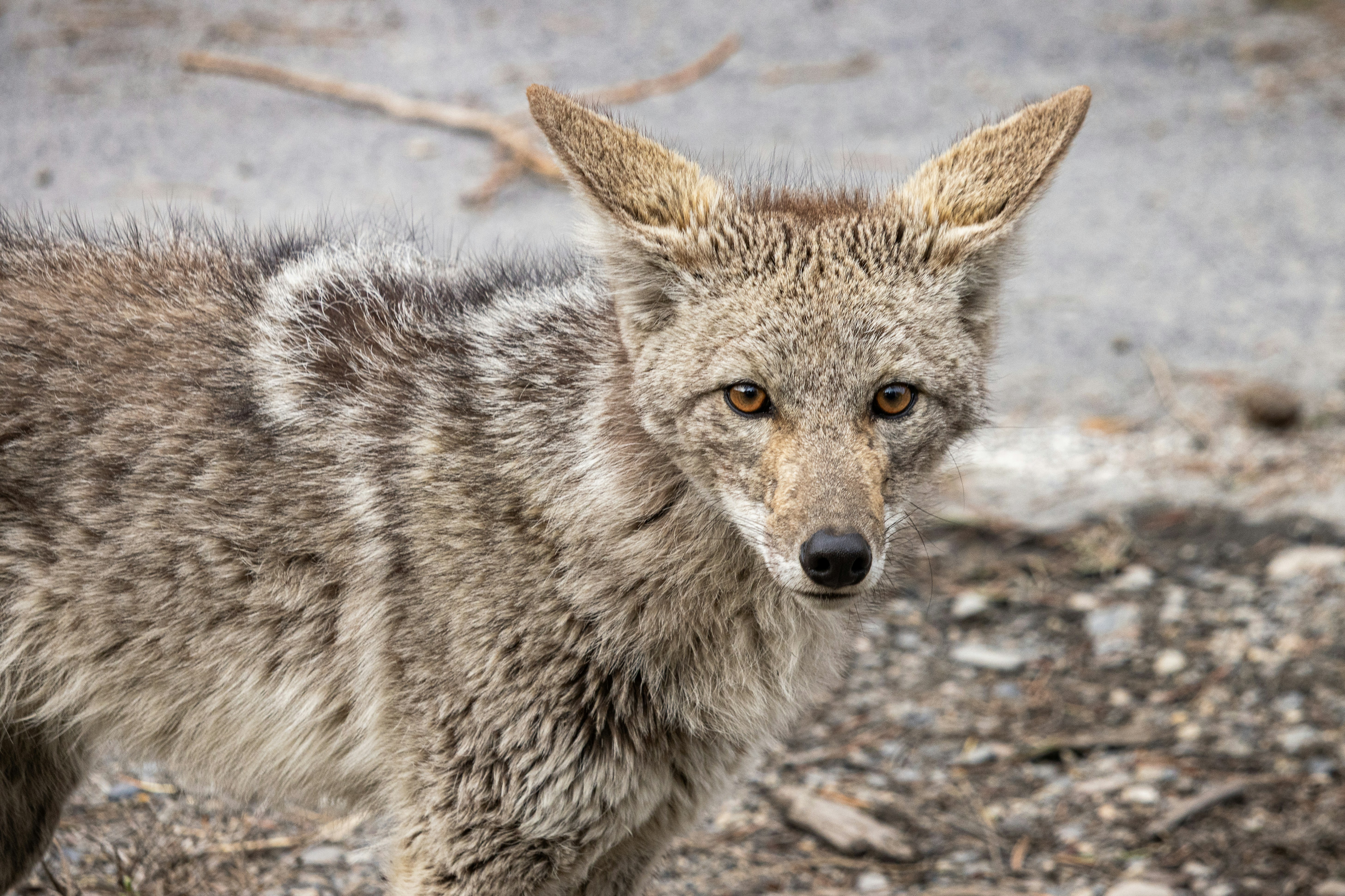 Photo by rs2photography