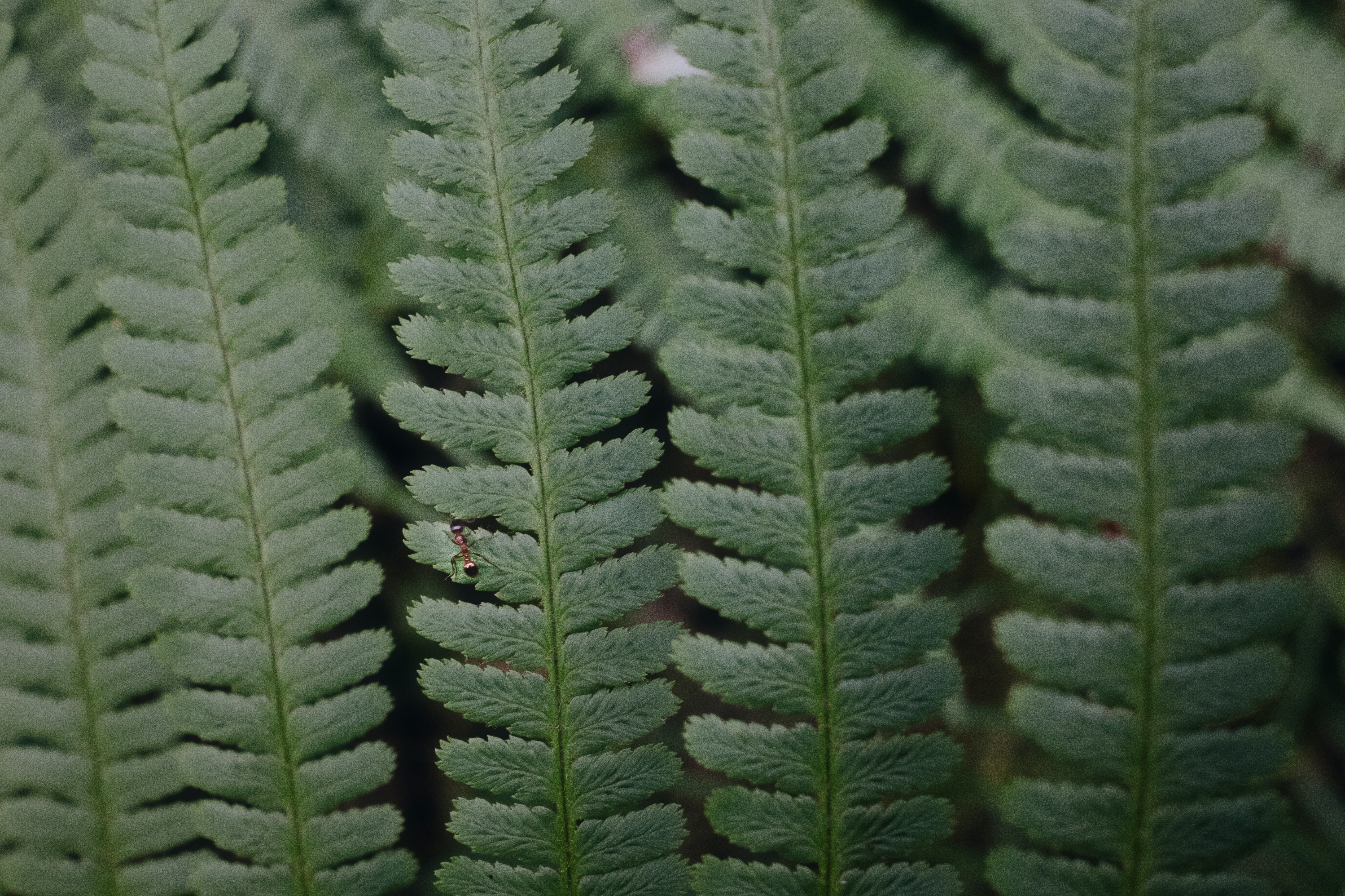 Photo by evil_bumblebee